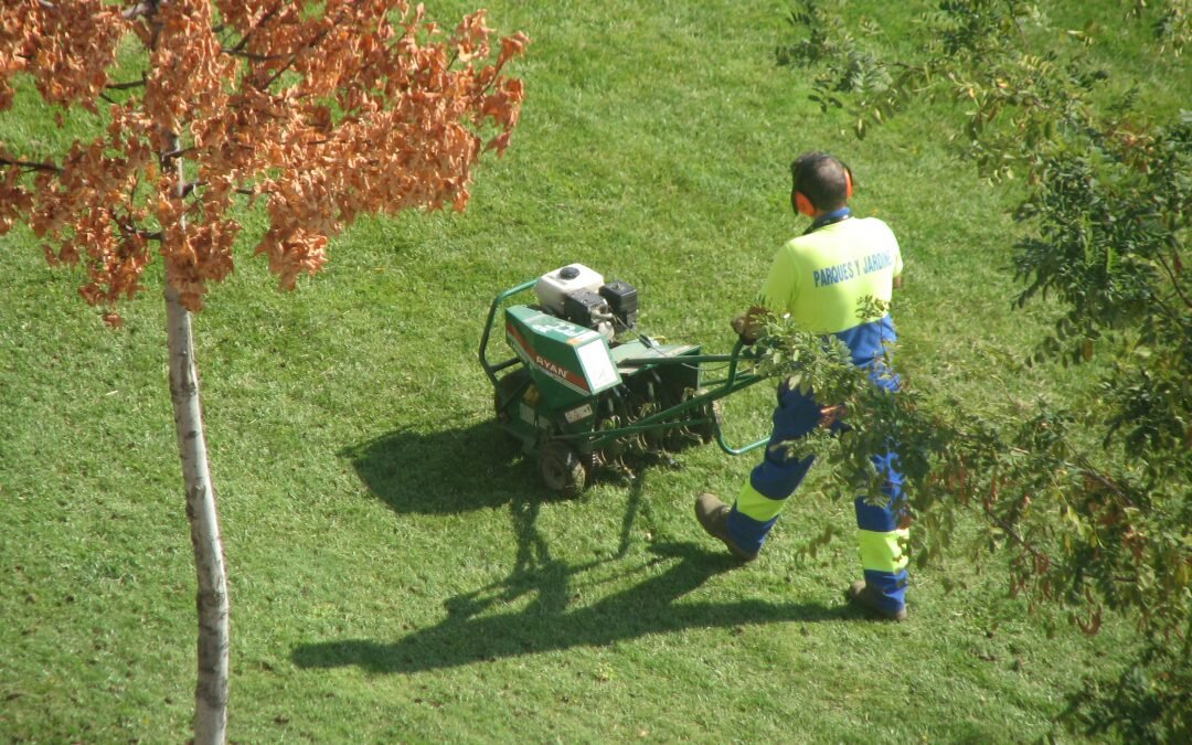 Core Aeration | Learn More →&lt;strong&gt;Let your lawn breathe.&lt;/strong&gt;&lt;a&gt;&lt;/a&gt;