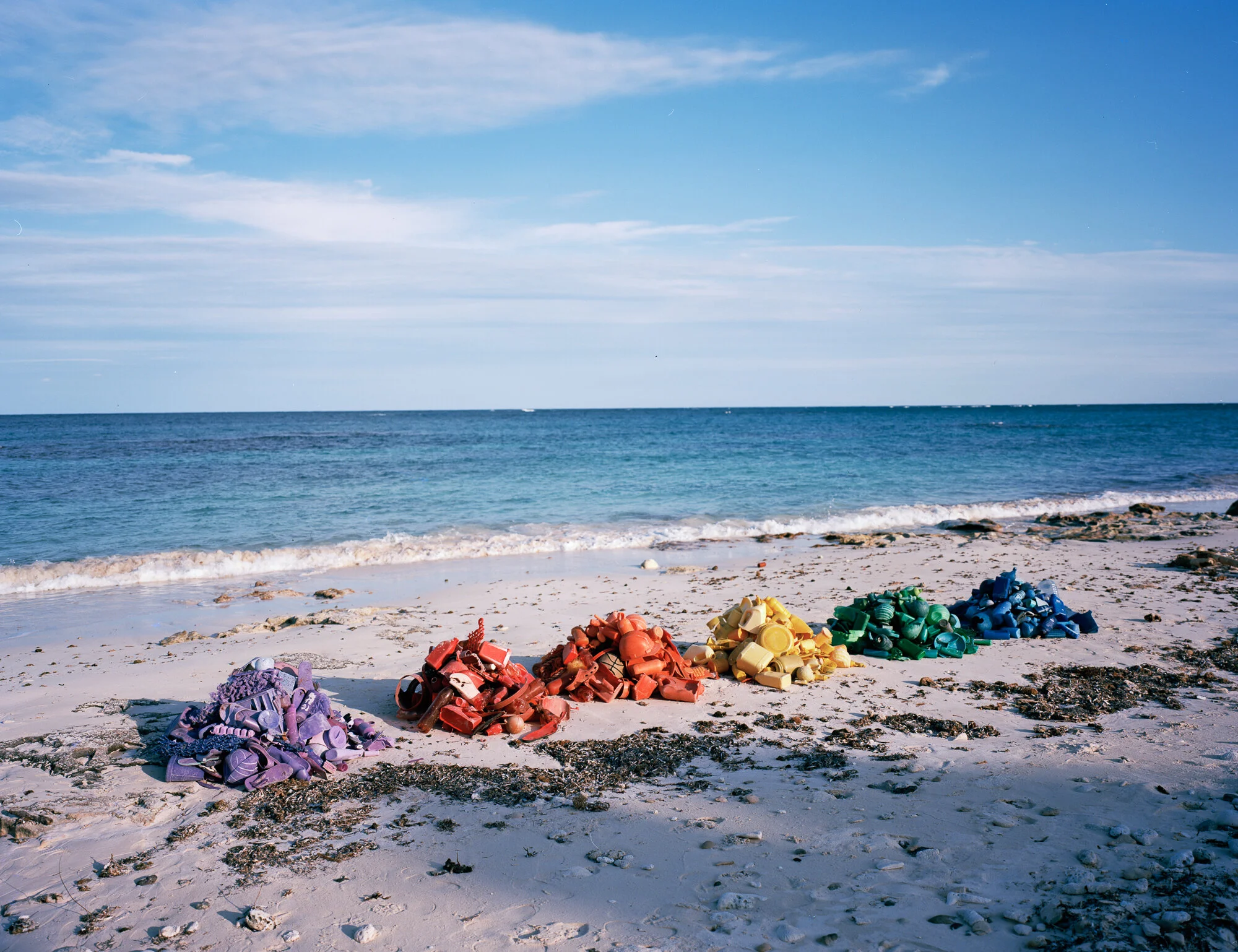 Rainbow Montones.jpg