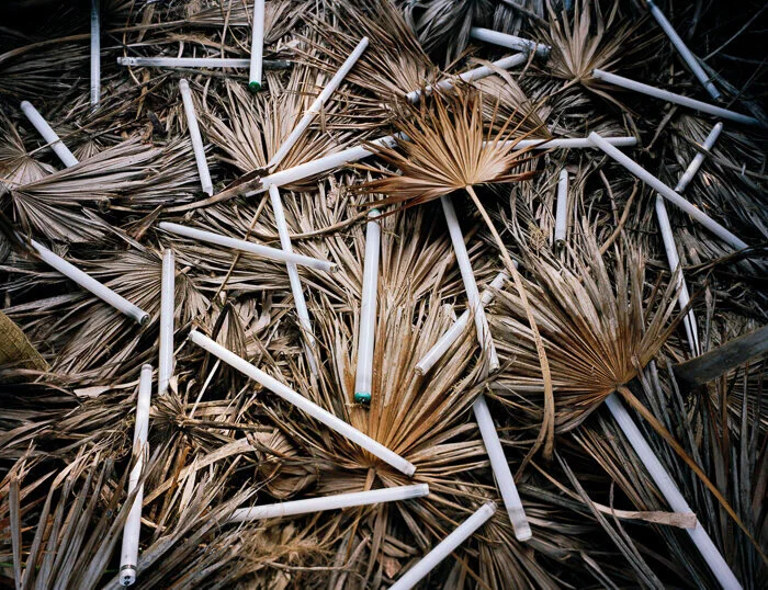 Luz Caída (Fallen Light), 2013⁠⠀
⁠⠀
Shedding more 'light' on the issue of ocean pollution. It's not all plastic that we're finding washed up. Surprisingly, we also find plenty of intact lightbulbs⁠, even these fluorescent tubes!⁠⠀
⁠⠀
For the love of the ocean and all that connects us 🌊⁠⠀
#washedupproject⁠ #environmentalart #natureart #artwithgarbage