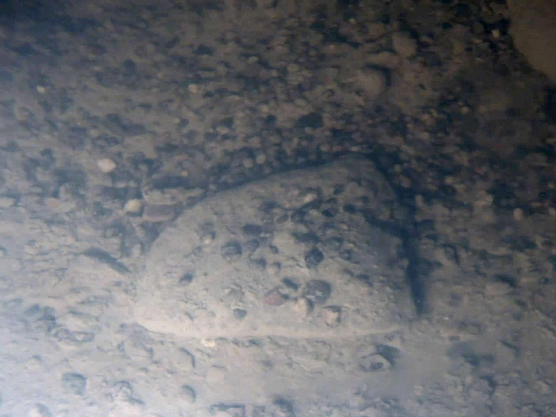 ScreenShot 10 - Sediment at bottom of the lake - Bob Zook and John Winans (1).jpg