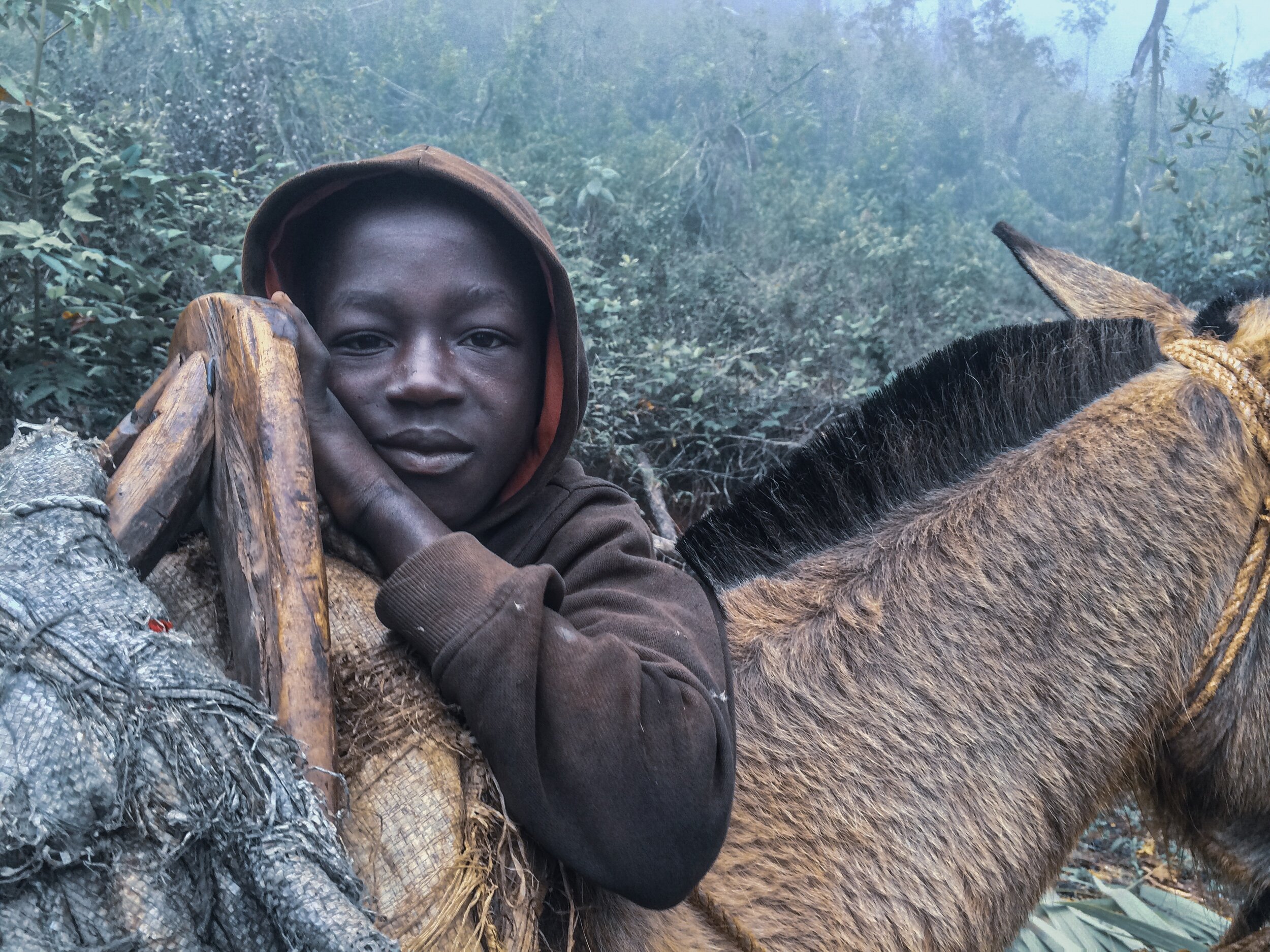 IMG_8565_74628 2.JPG