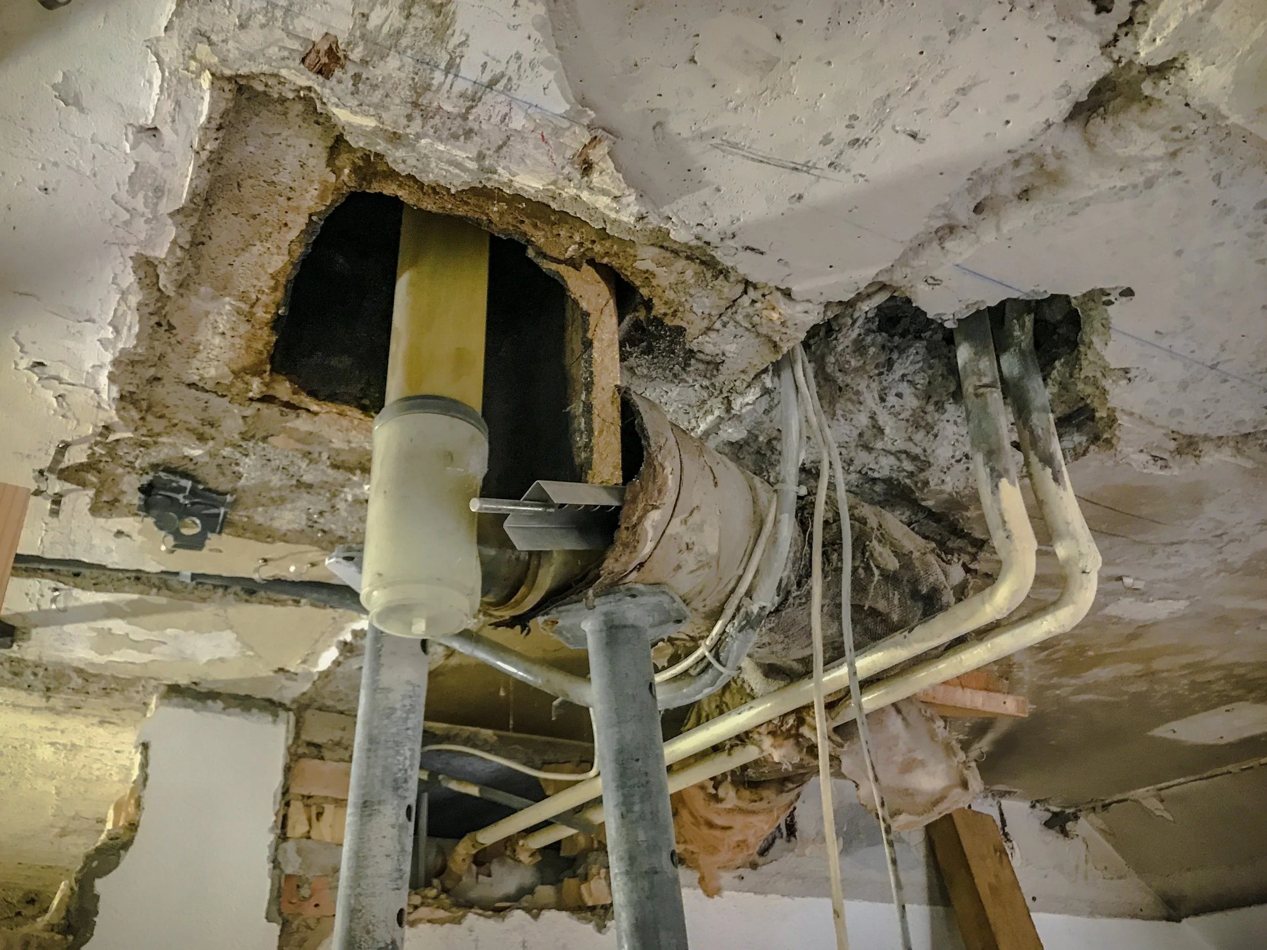 tannacker_bearbeitet-26.jpg