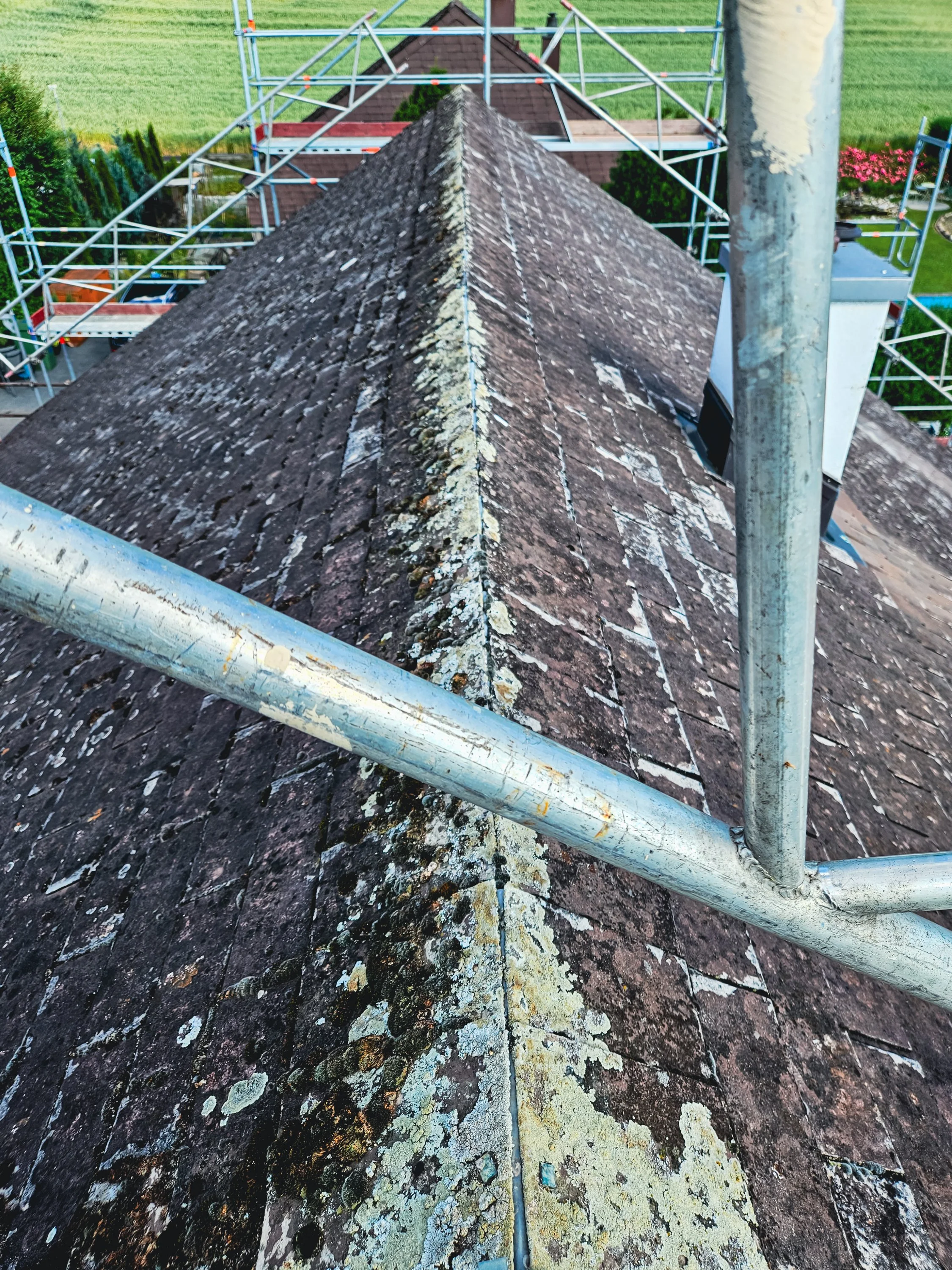pjk_efh-krauchthalstrasse_bearbeitet_250818-3.jpg