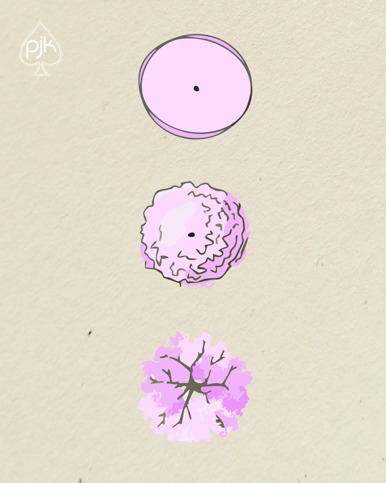 Trotz K&auml;lteeinbruch am bl&uuml;hen 🌸🌸🌸 
Happy Friday!

#springtime #vectorillustration #fridaymotivation #pjkarchitektur