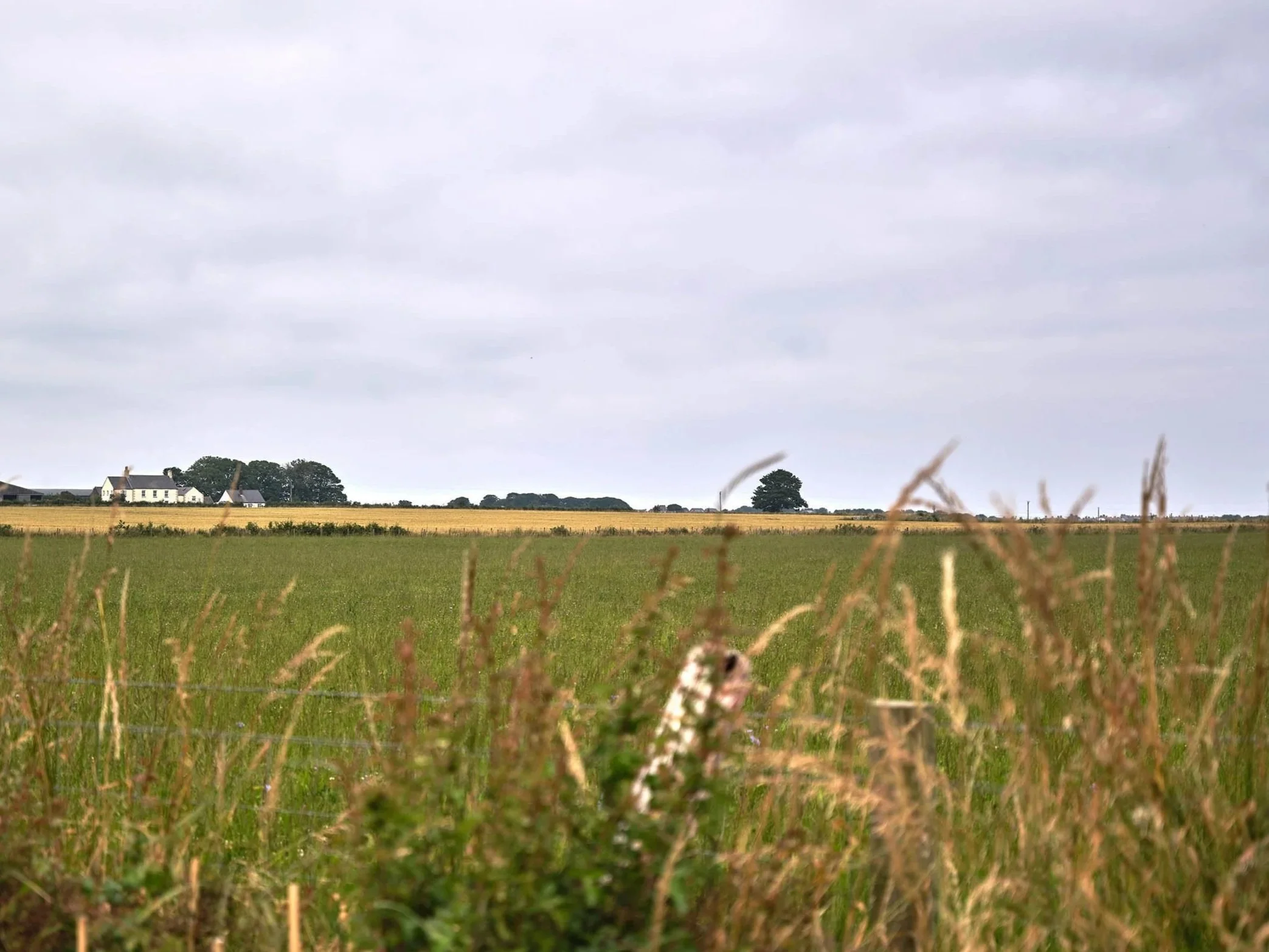 Farmhouse_222.jpg