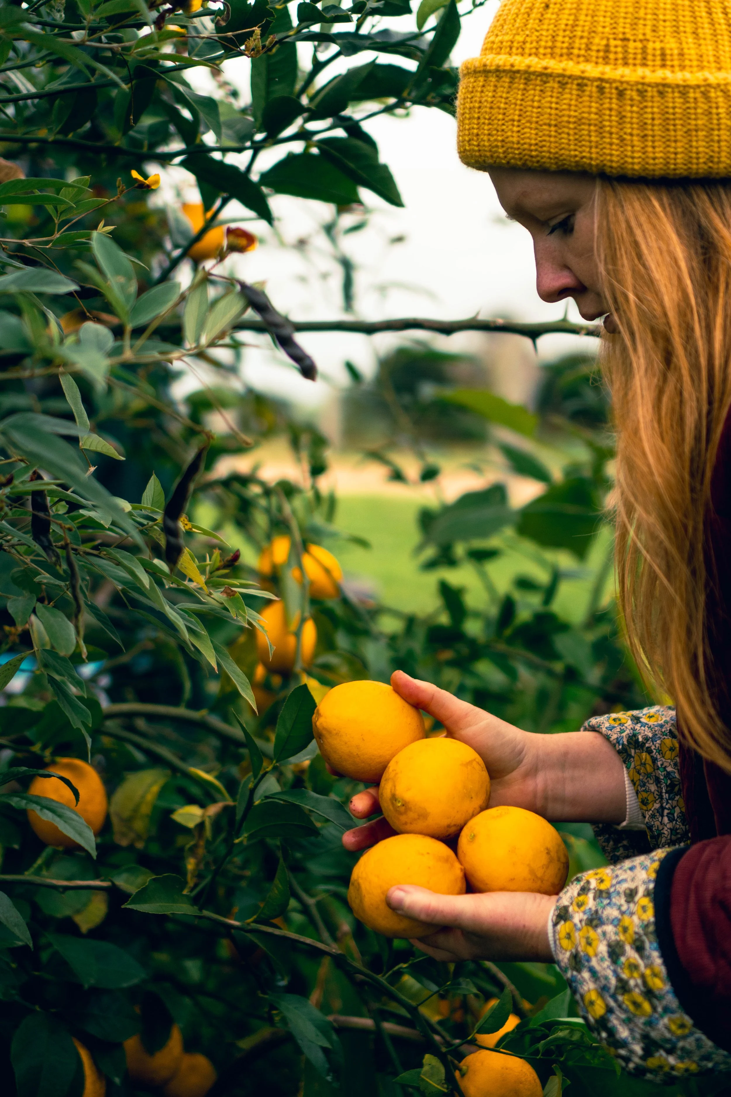 Fermentation Club at The Farm. Citrus Session. Drop in. 25/07/2026 9-12