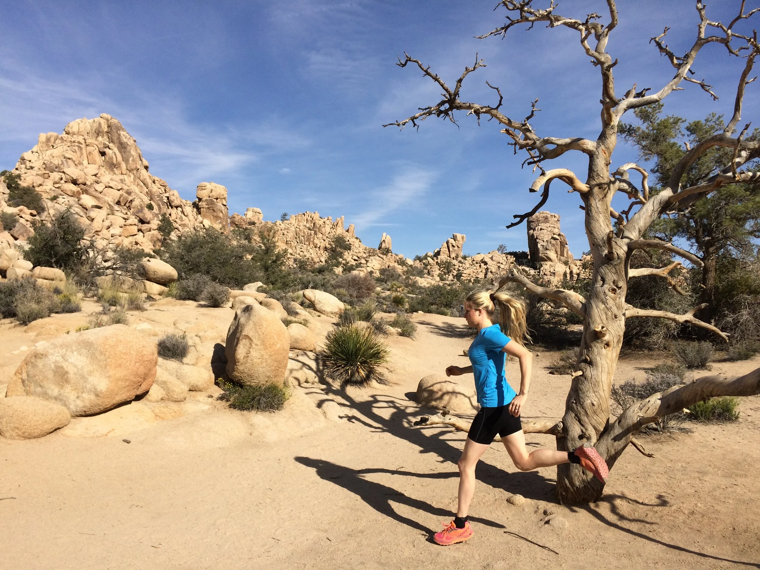 Laufen Joshua Tree National Park.JPG