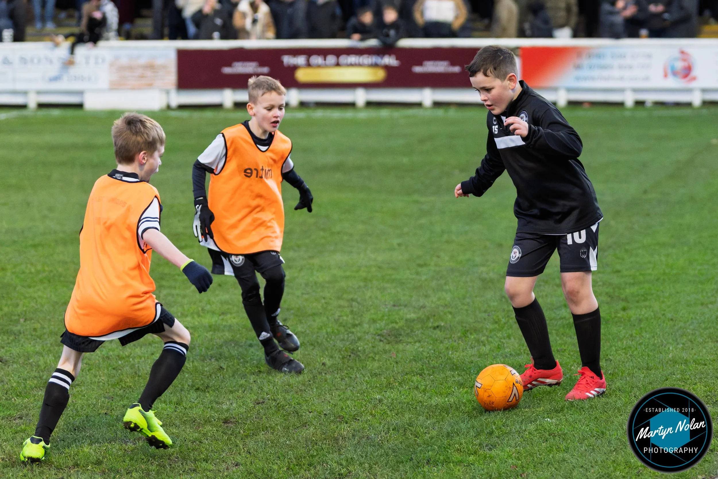 DSC_1290-DxO_DeepPRIME 3.jpg