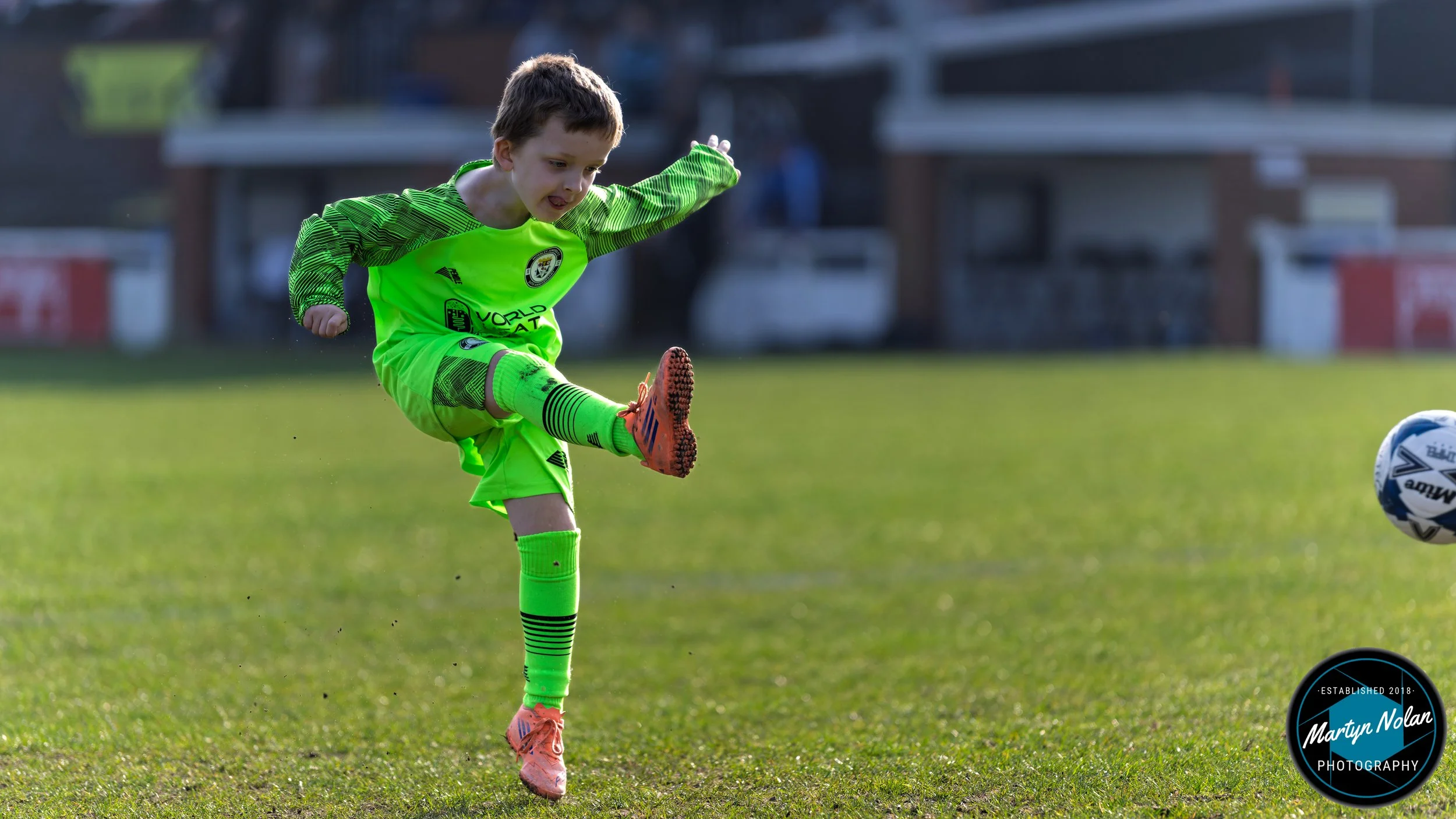 DSC_1225-DxO_DeepPRIME 3.jpg