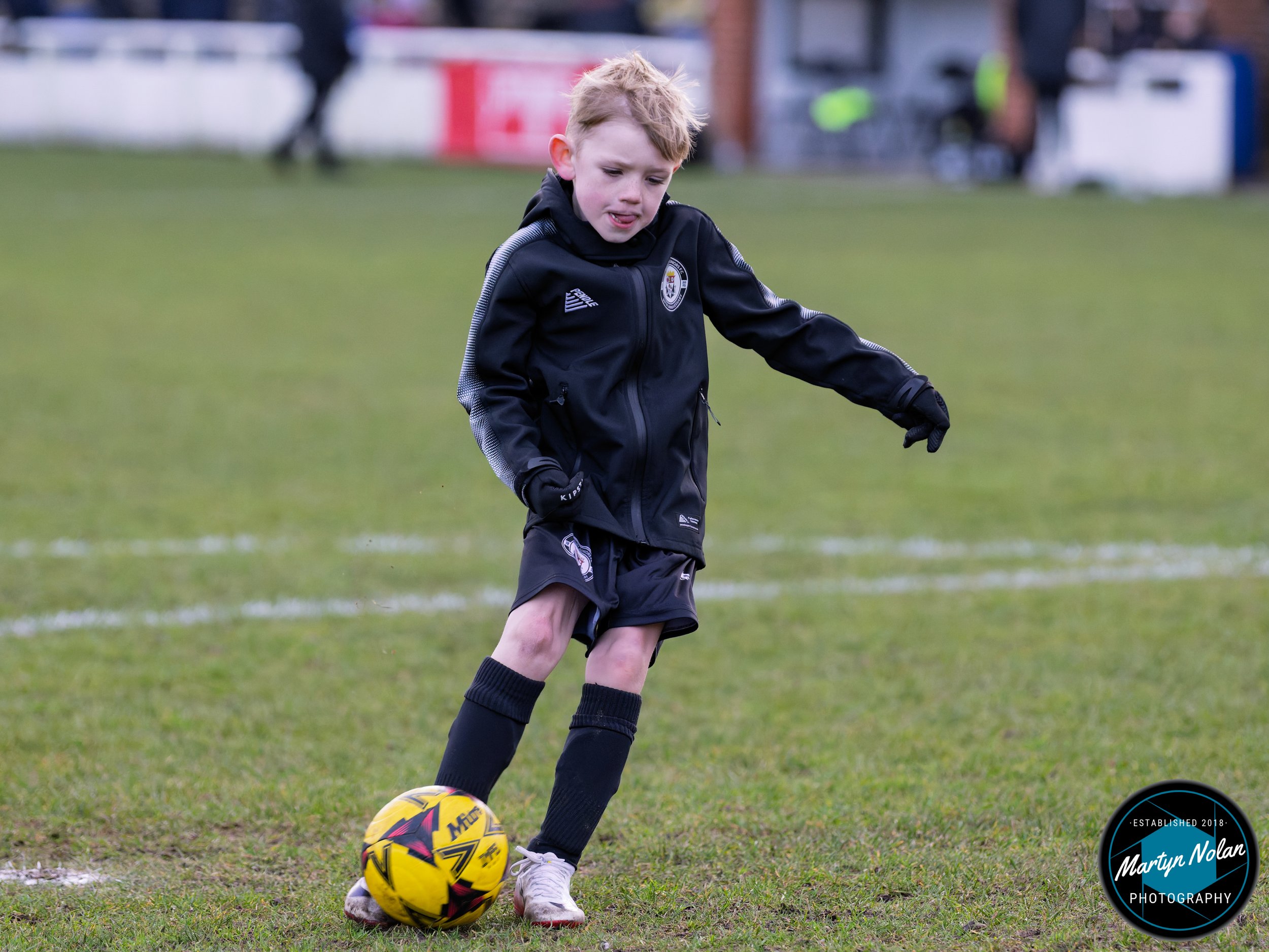 DSC_1340-DxO_DeepPRIME 3.jpg