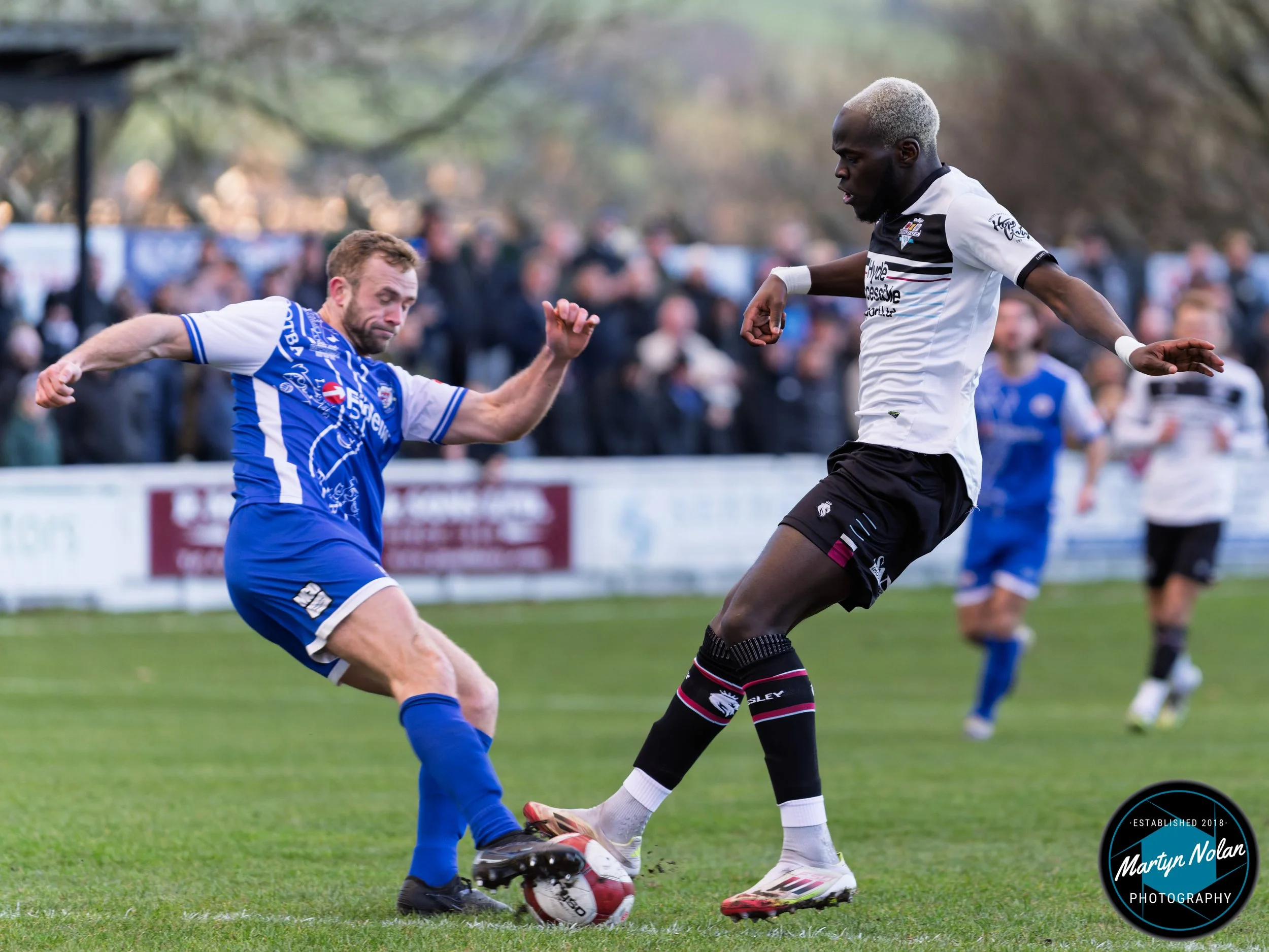 DSC_0597-DxO_DeepPRIME 3.jpg