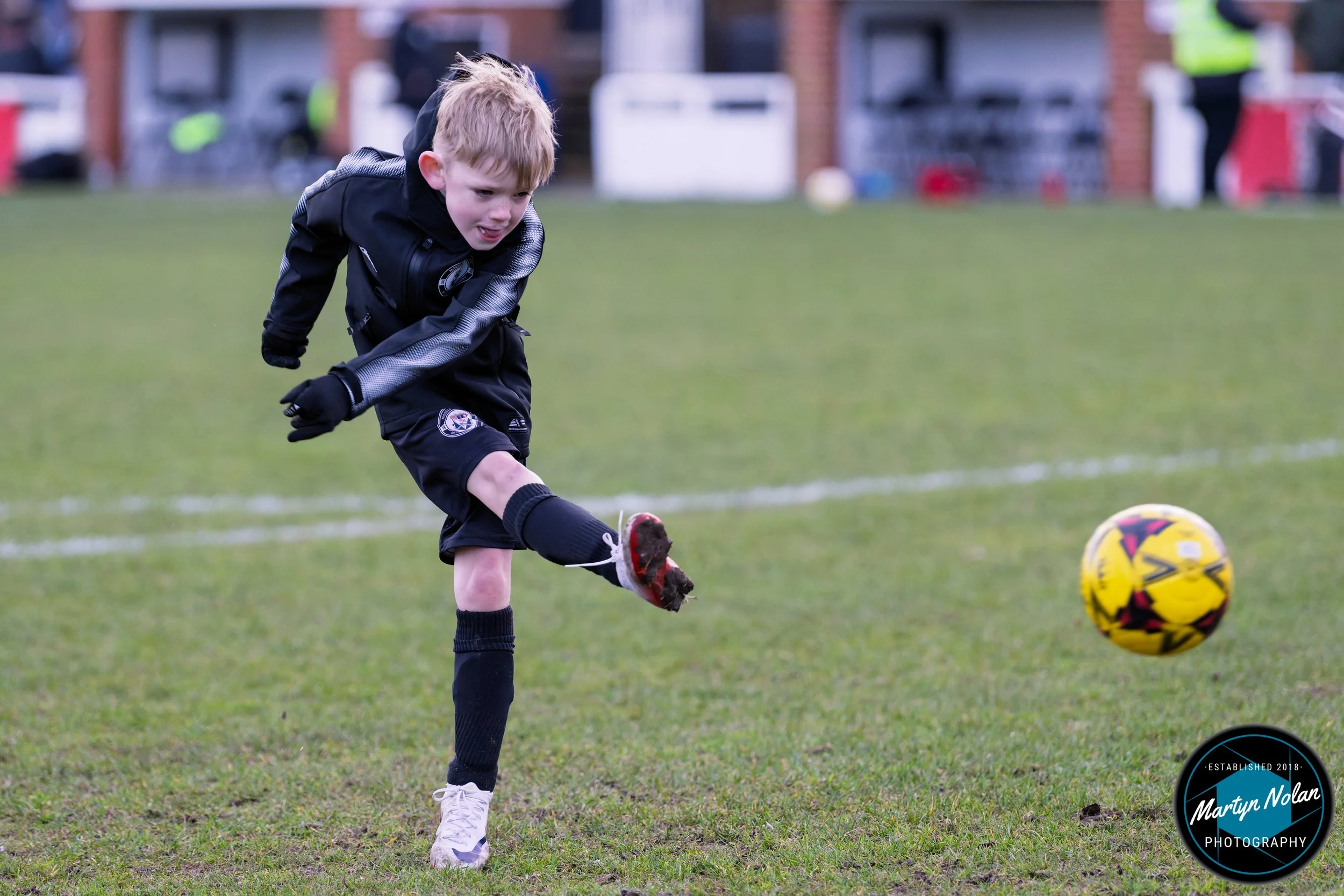 DSC_0881-DxO_DeepPRIME 3.jpg