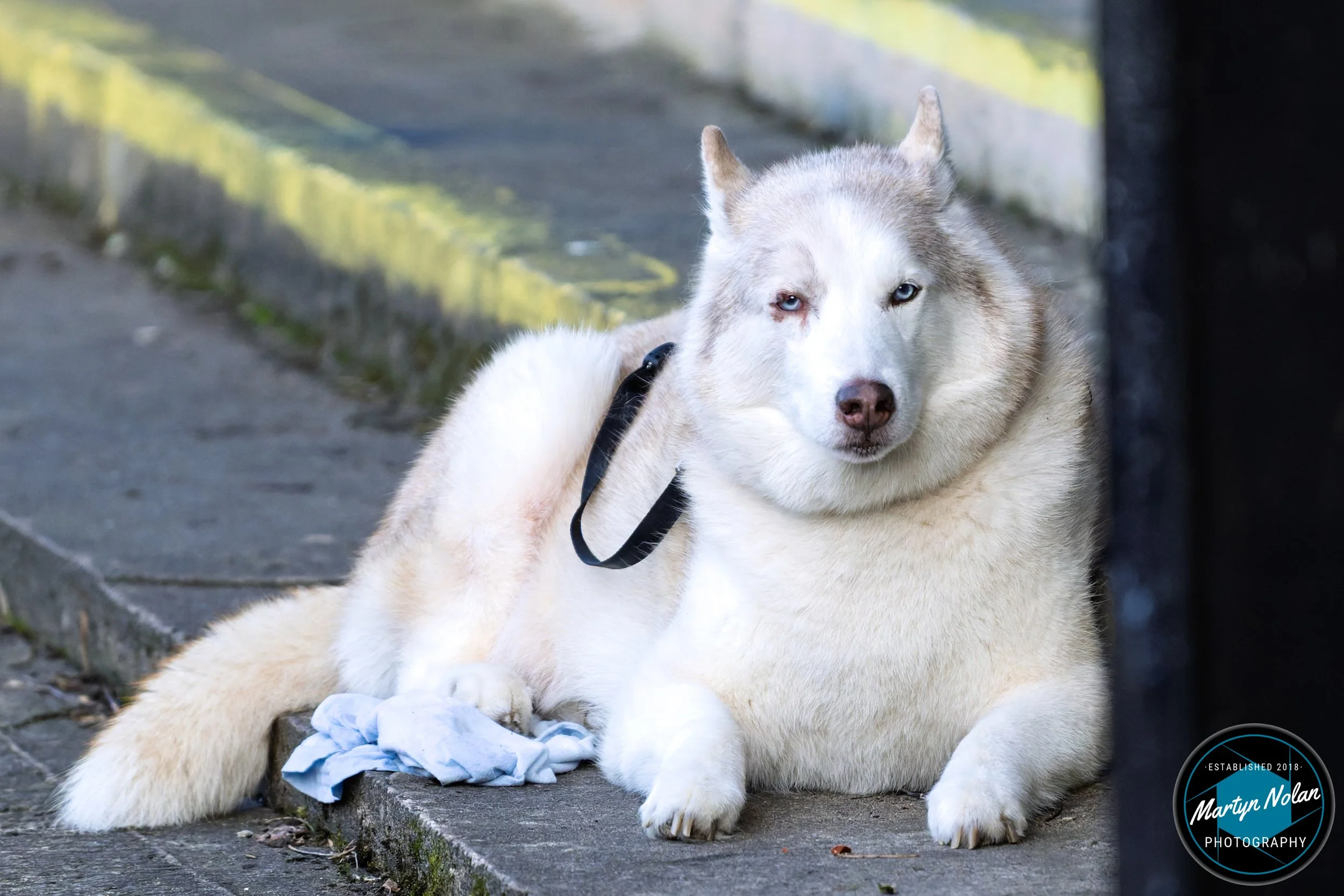 DSC_3193-DxO_DeepPRIME 3.jpg