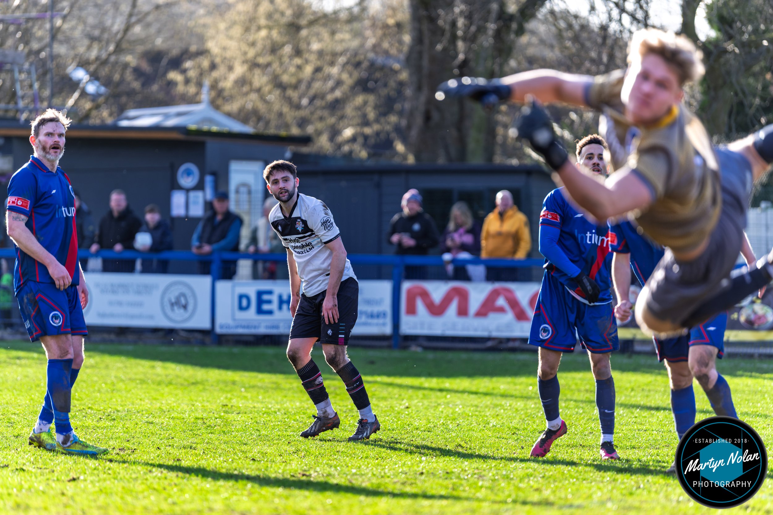 DSC_1511-DxO_DeepPRIME 3.jpg