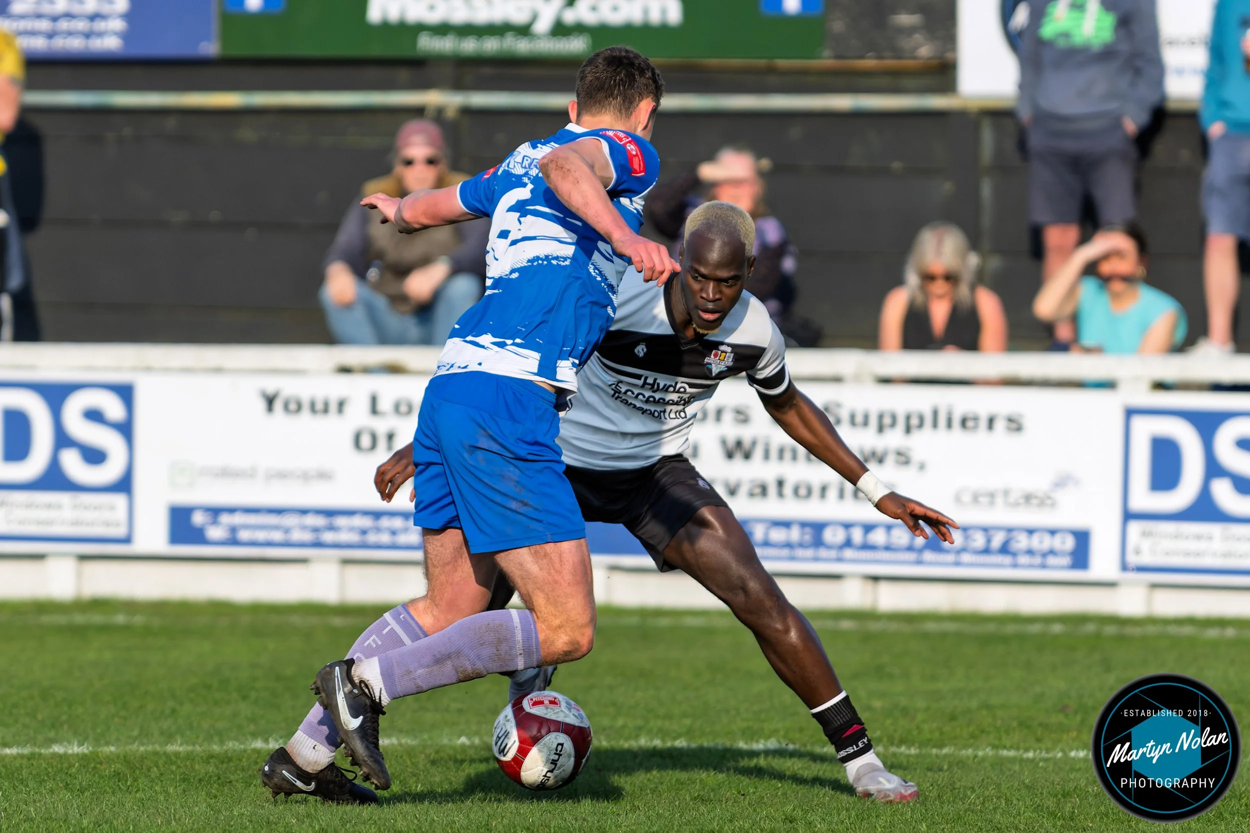 DSC_3046-DxO_DeepPRIME 3.jpg