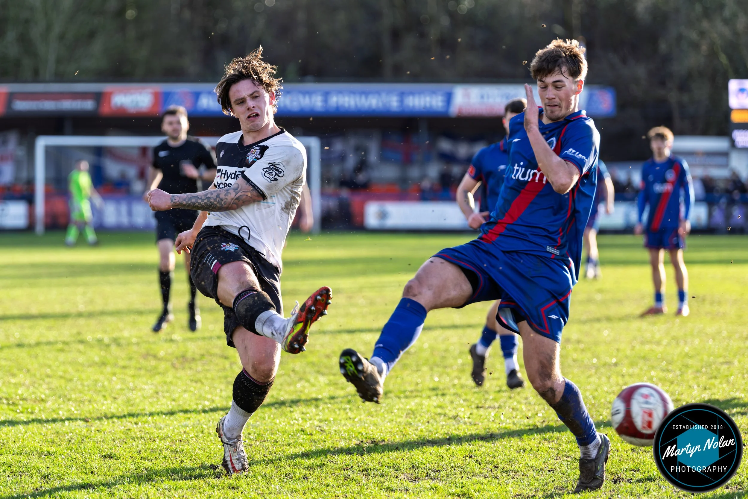 DSC_1680-DxO_DeepPRIME 3.jpg