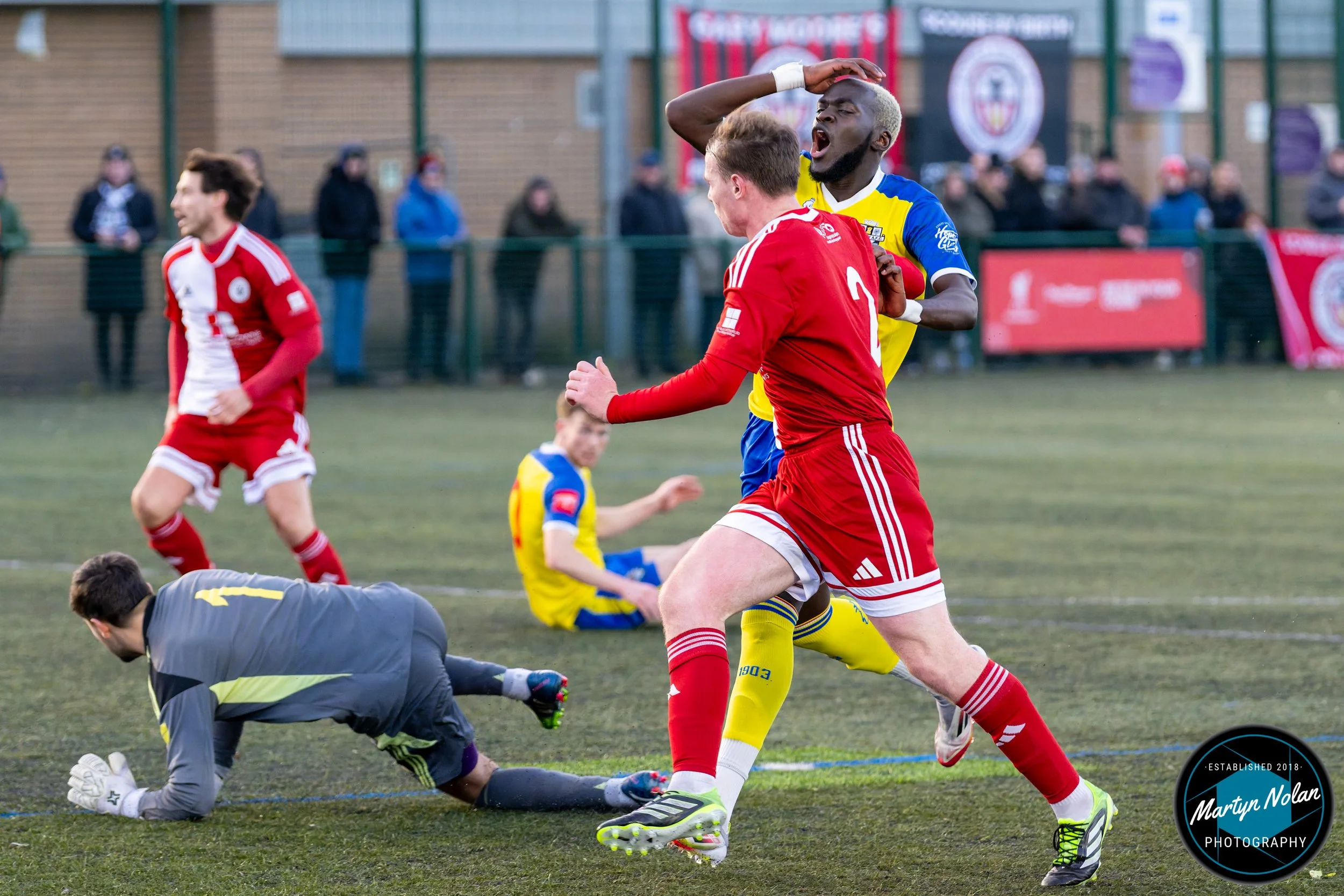 DSC_0533-DxO_DeepPRIME 3.jpg