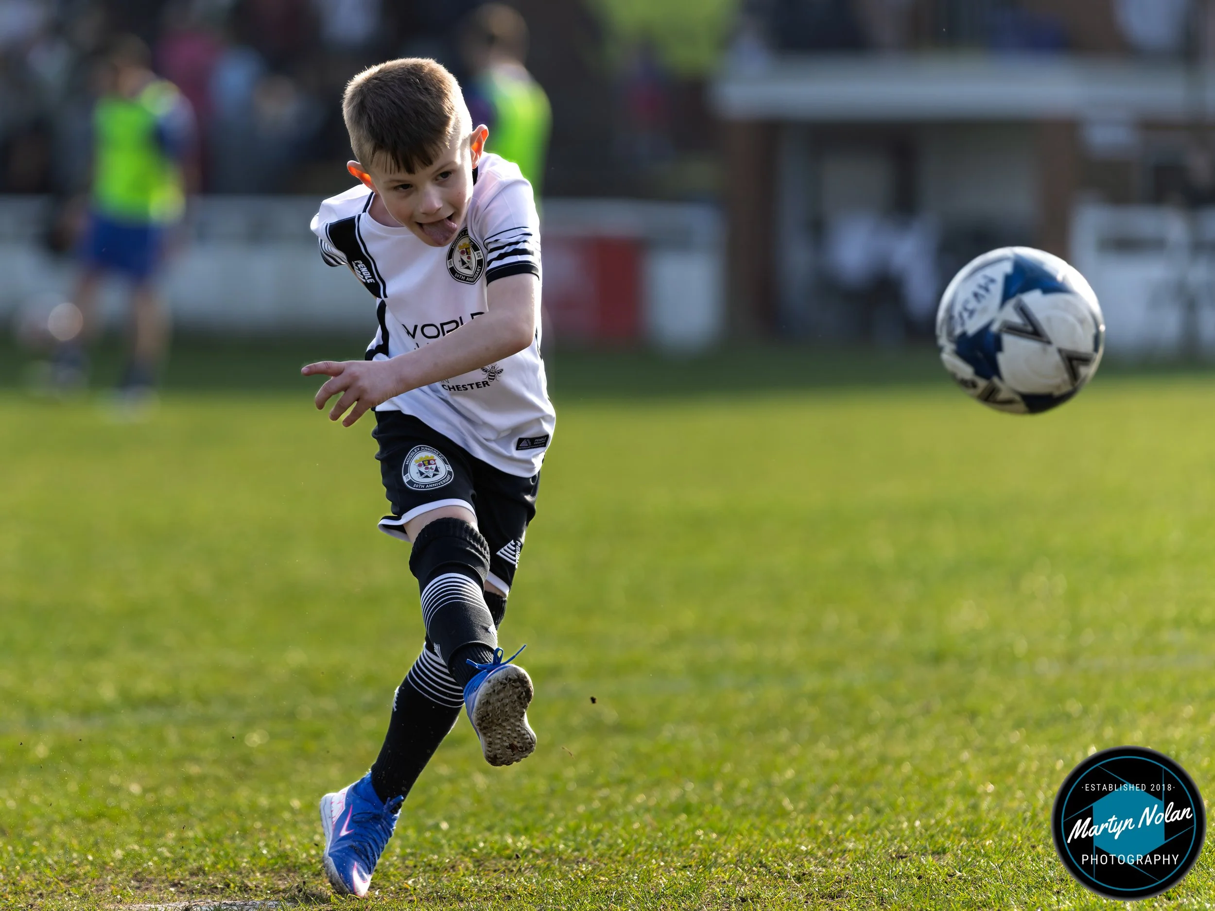 DSC_1635-DxO_DeepPRIME 3.jpg