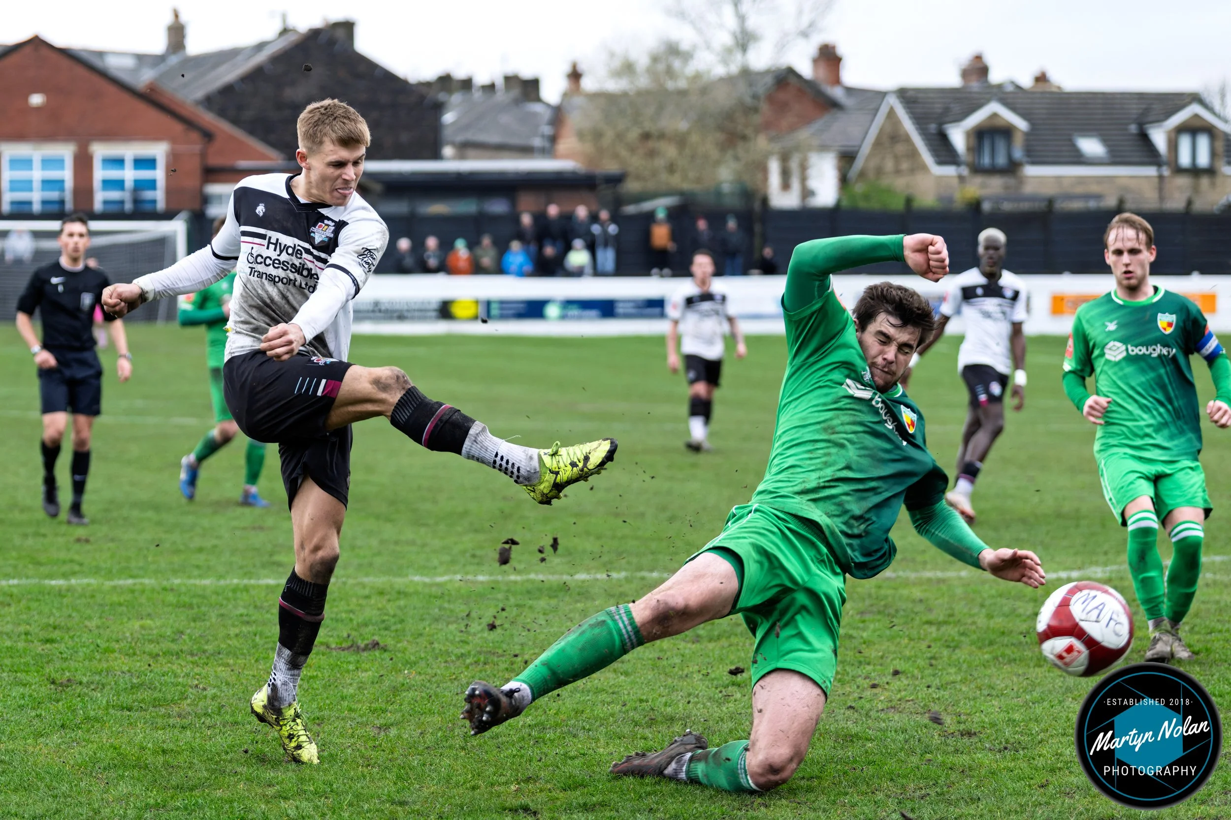 DSC_2996-DxO_DeepPRIME 3.jpg