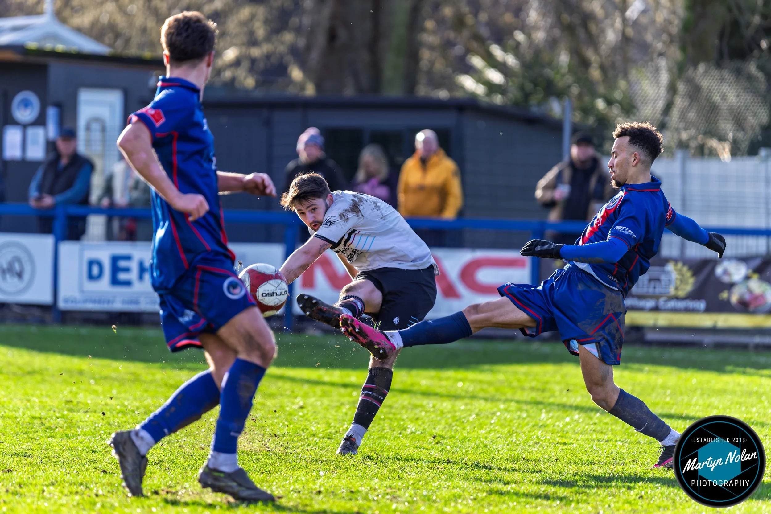 DSC_1502-DxO_DeepPRIME 3.jpg