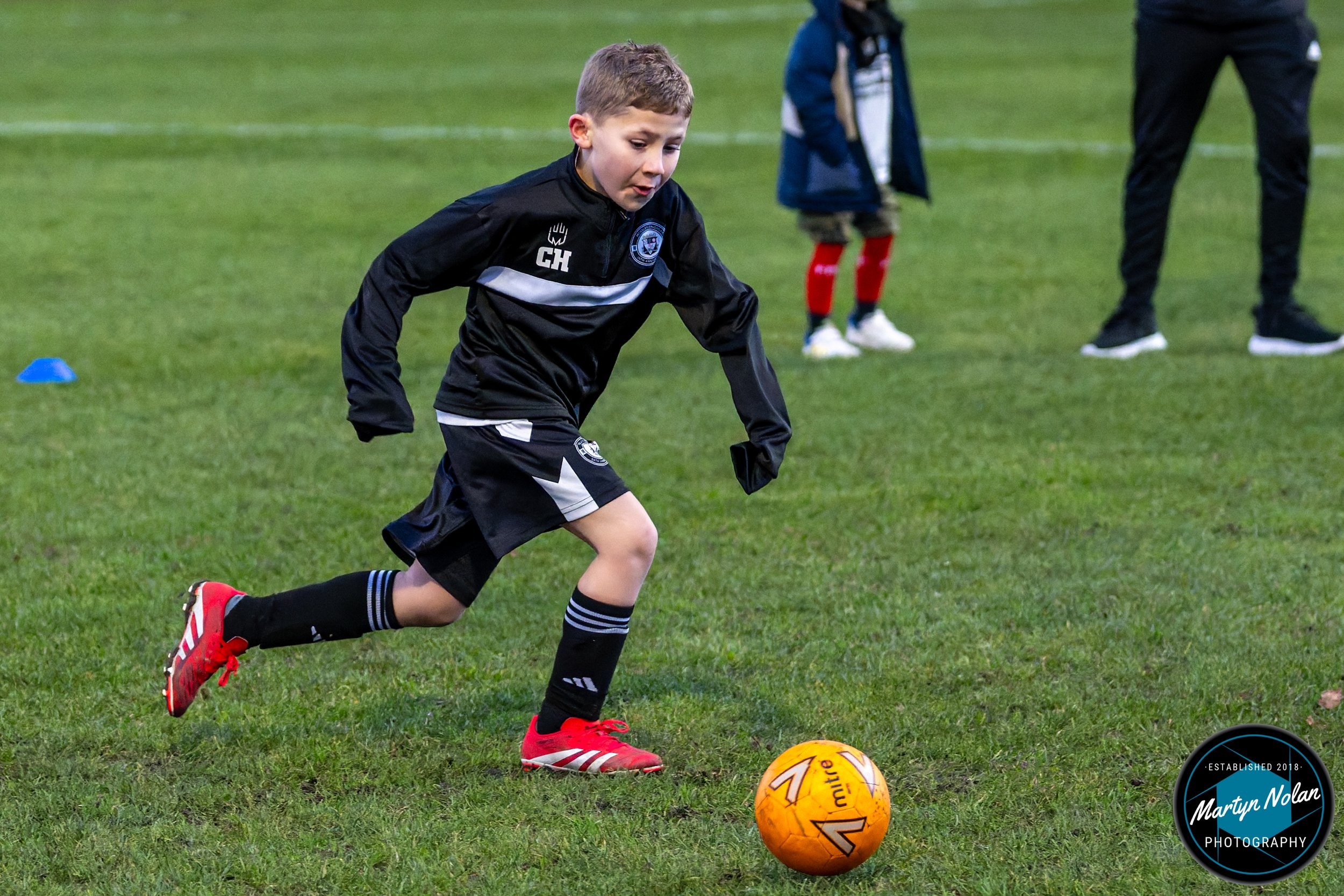 DSC_1373-DxO_DeepPRIME 3.jpg