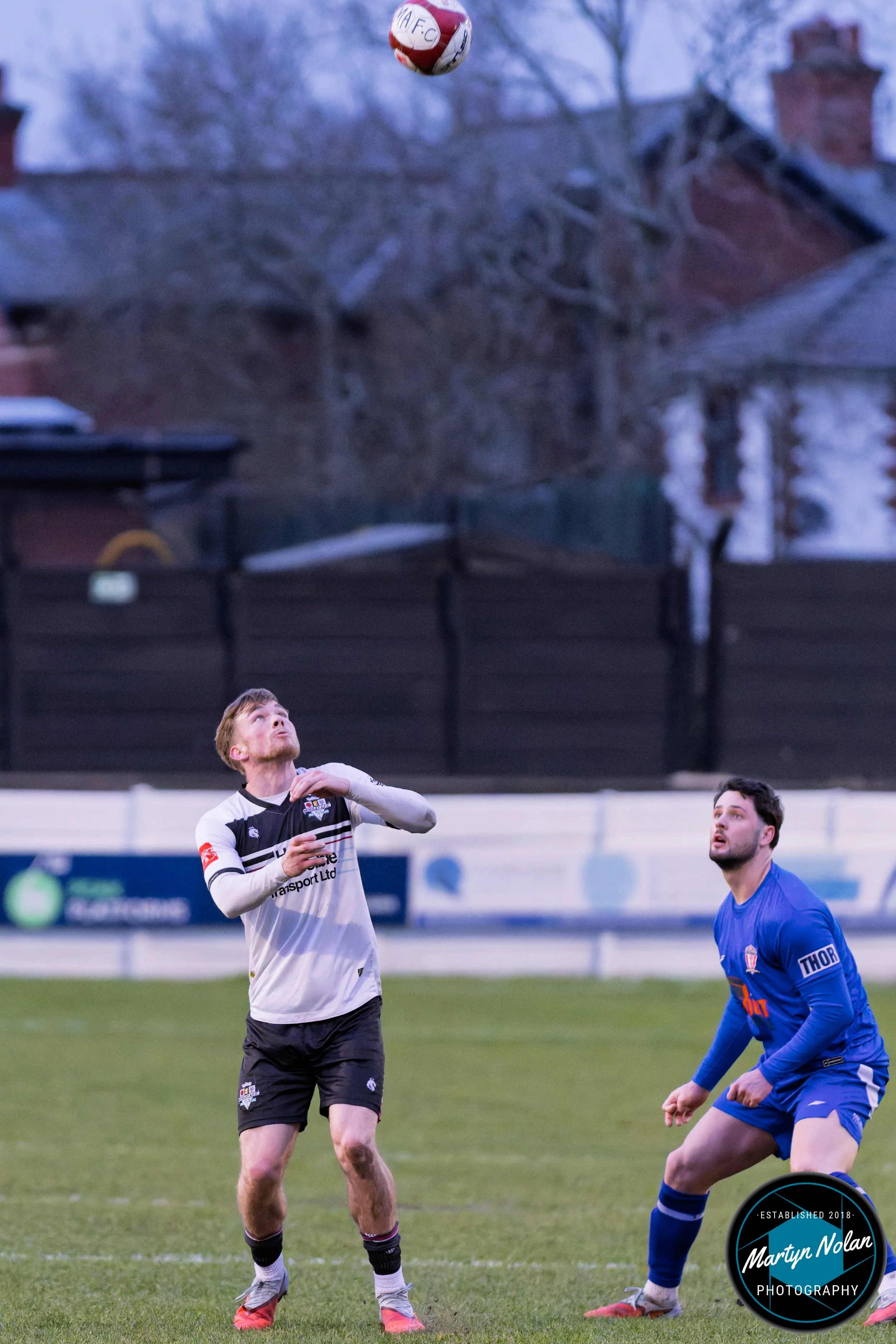 DSC_3096-DxO_DeepPRIME 3.jpg