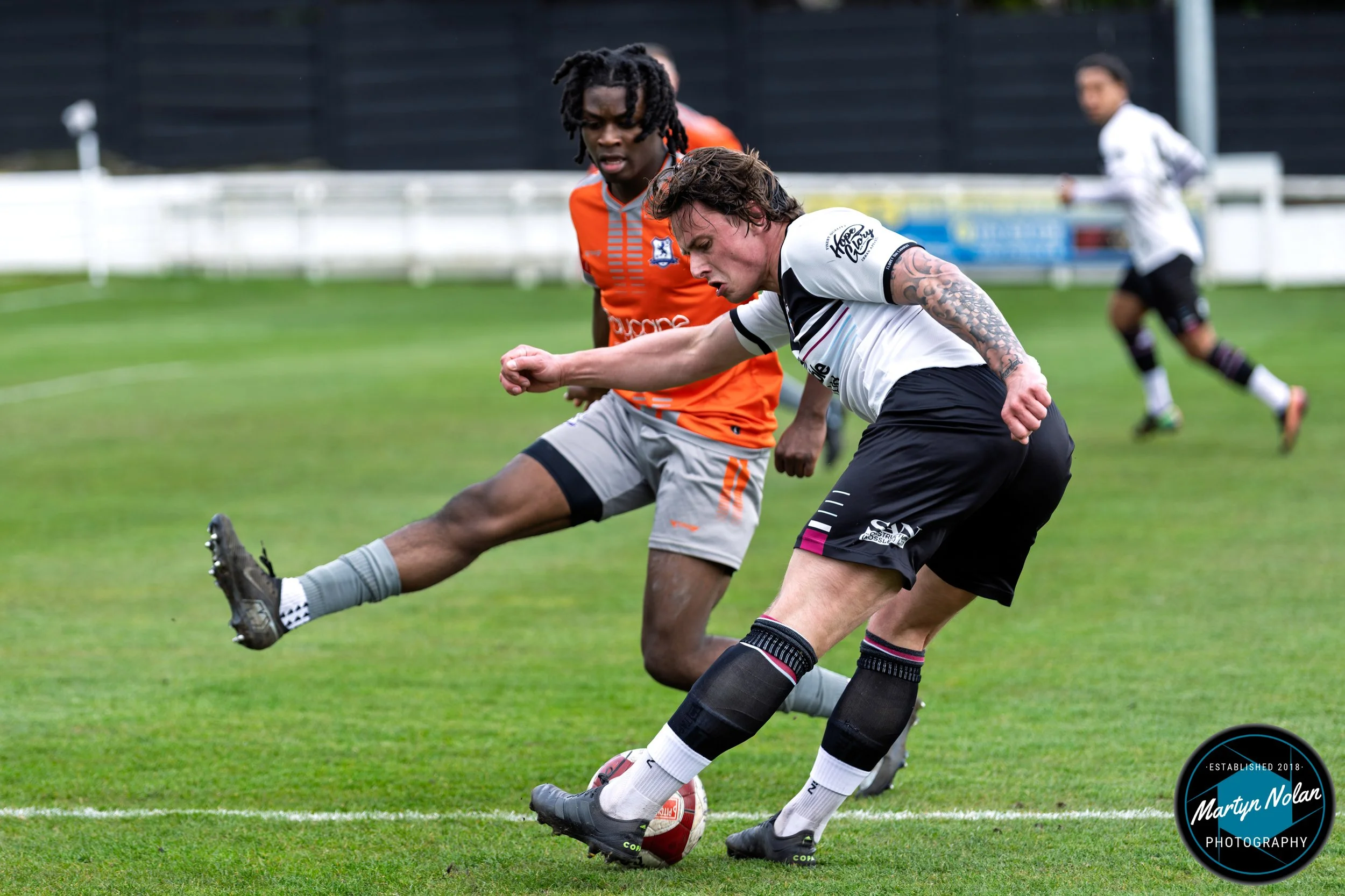 DSC_3376-DxO_DeepPRIME 3.jpg