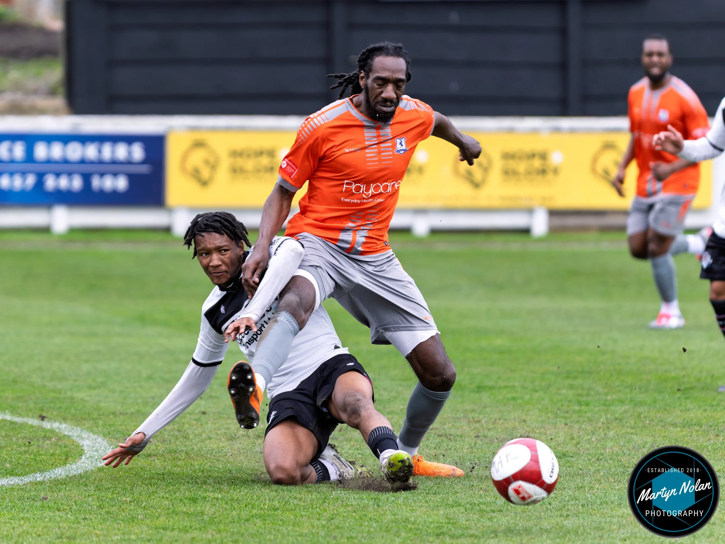 DSC_3001-DxO_DeepPRIME 3.jpg