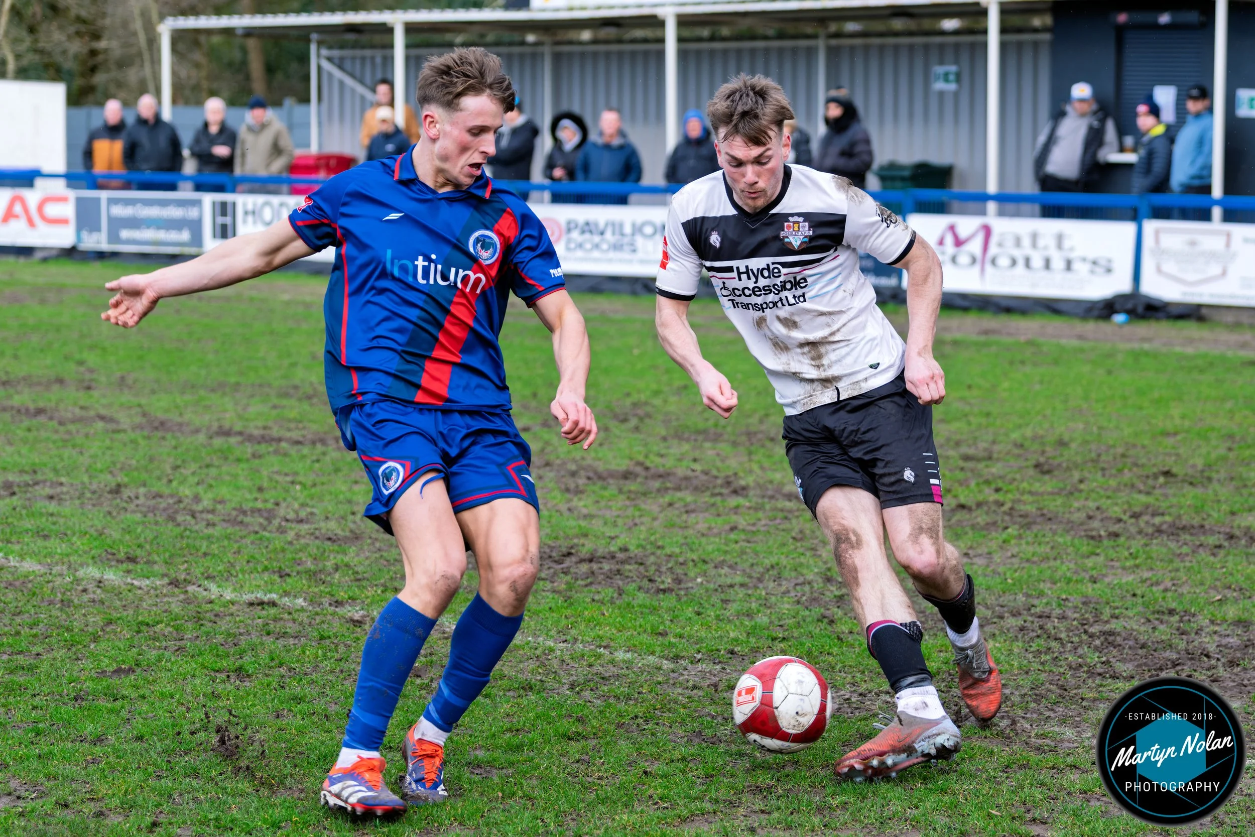 DSC_0606-DxO_DeepPRIME 3.jpg