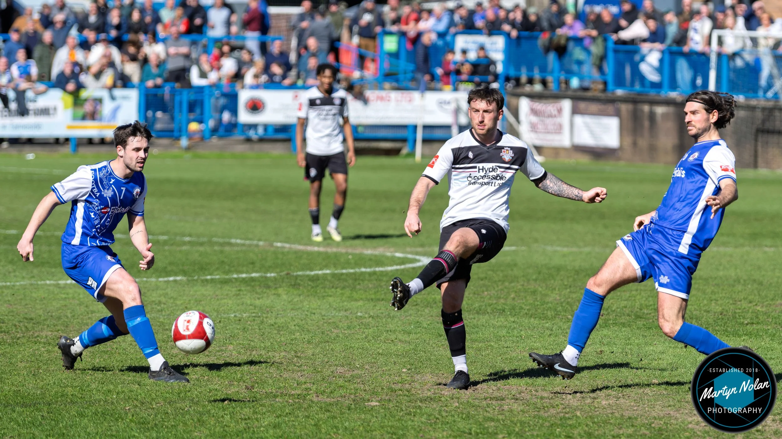 DSC_0749-DxO_DeepPRIME 3.jpg