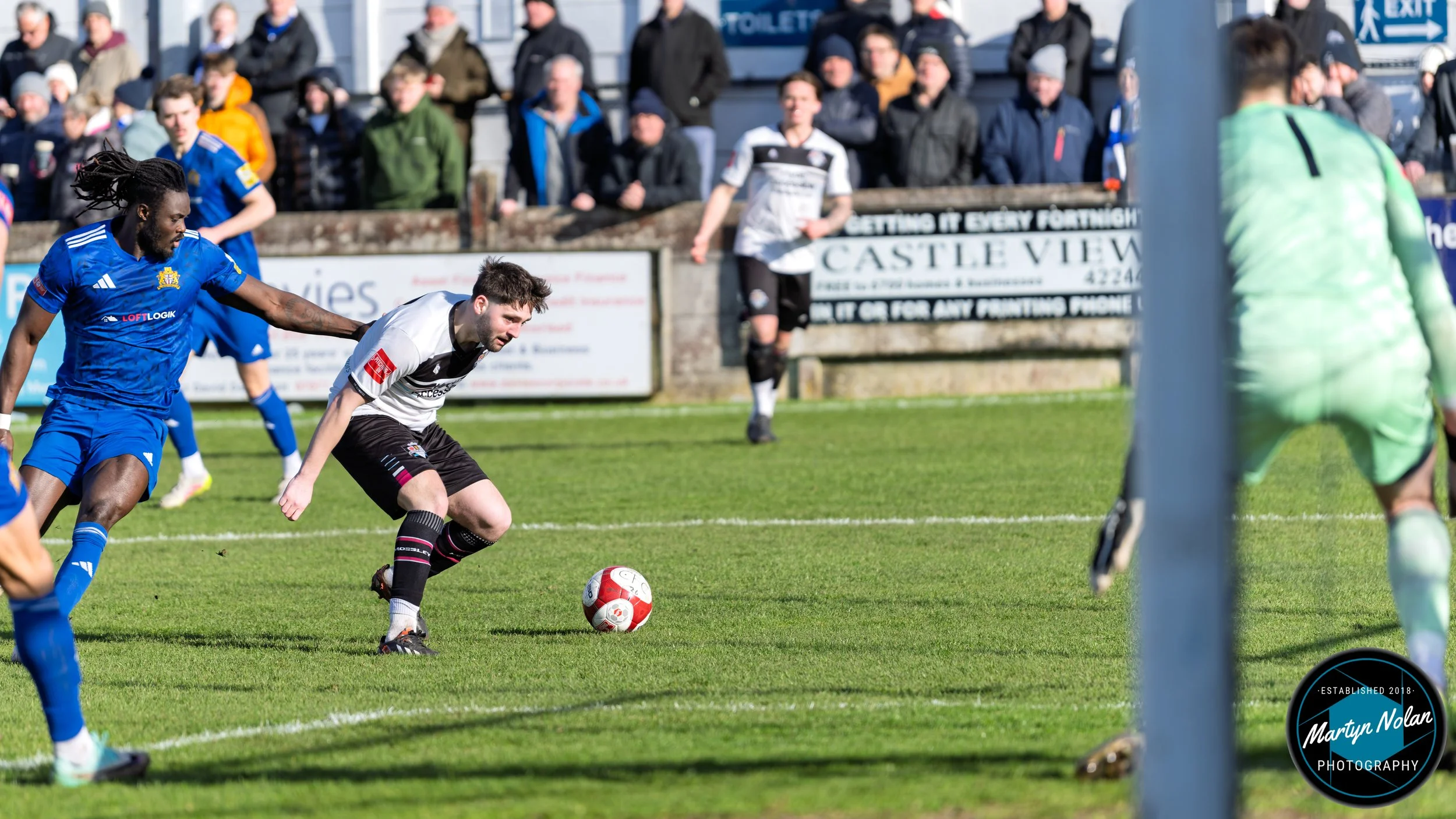 DSC_0487-DxO_DeepPRIME 3.jpg