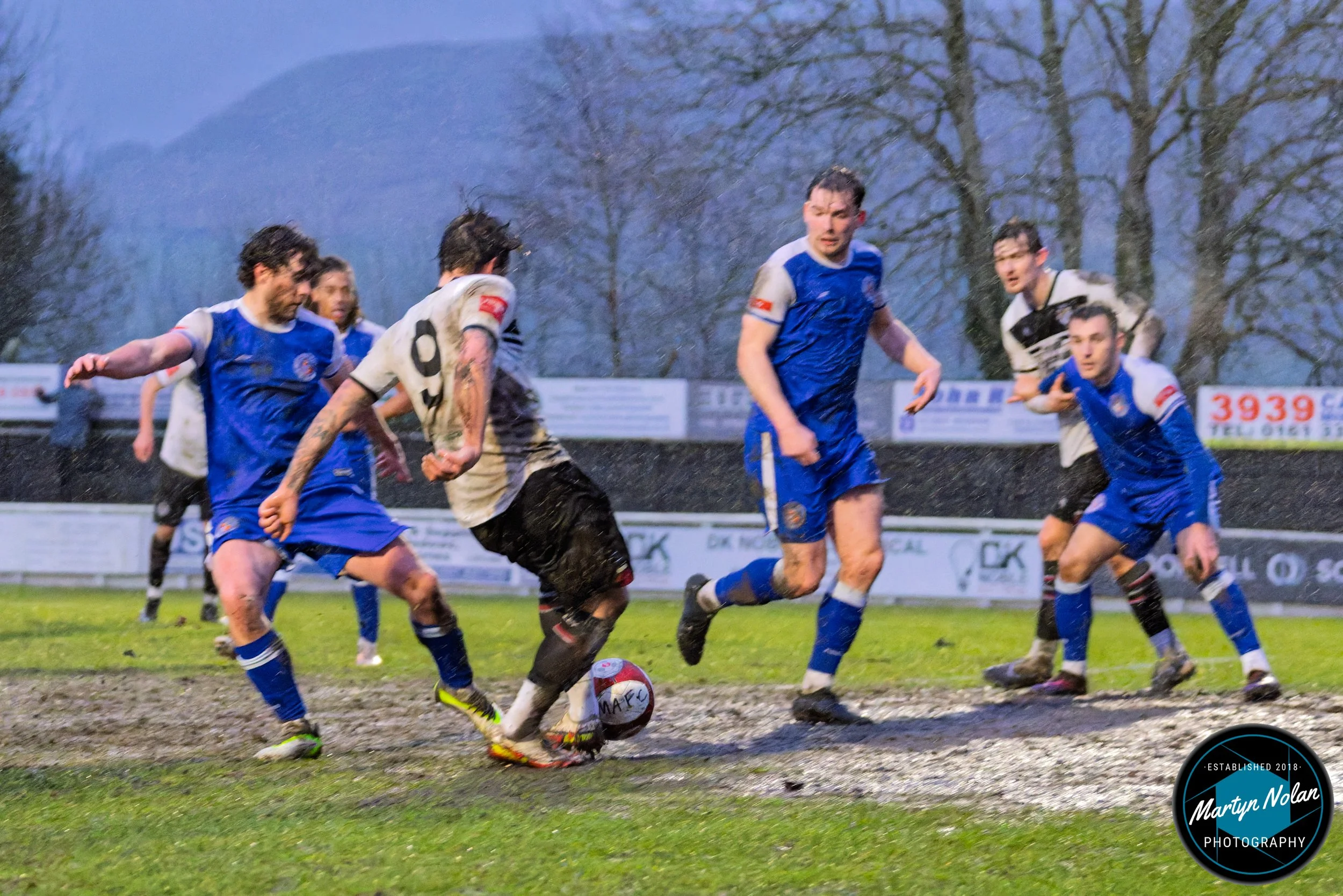 DSC_2434-DxO_DeepPRIME 3.jpg