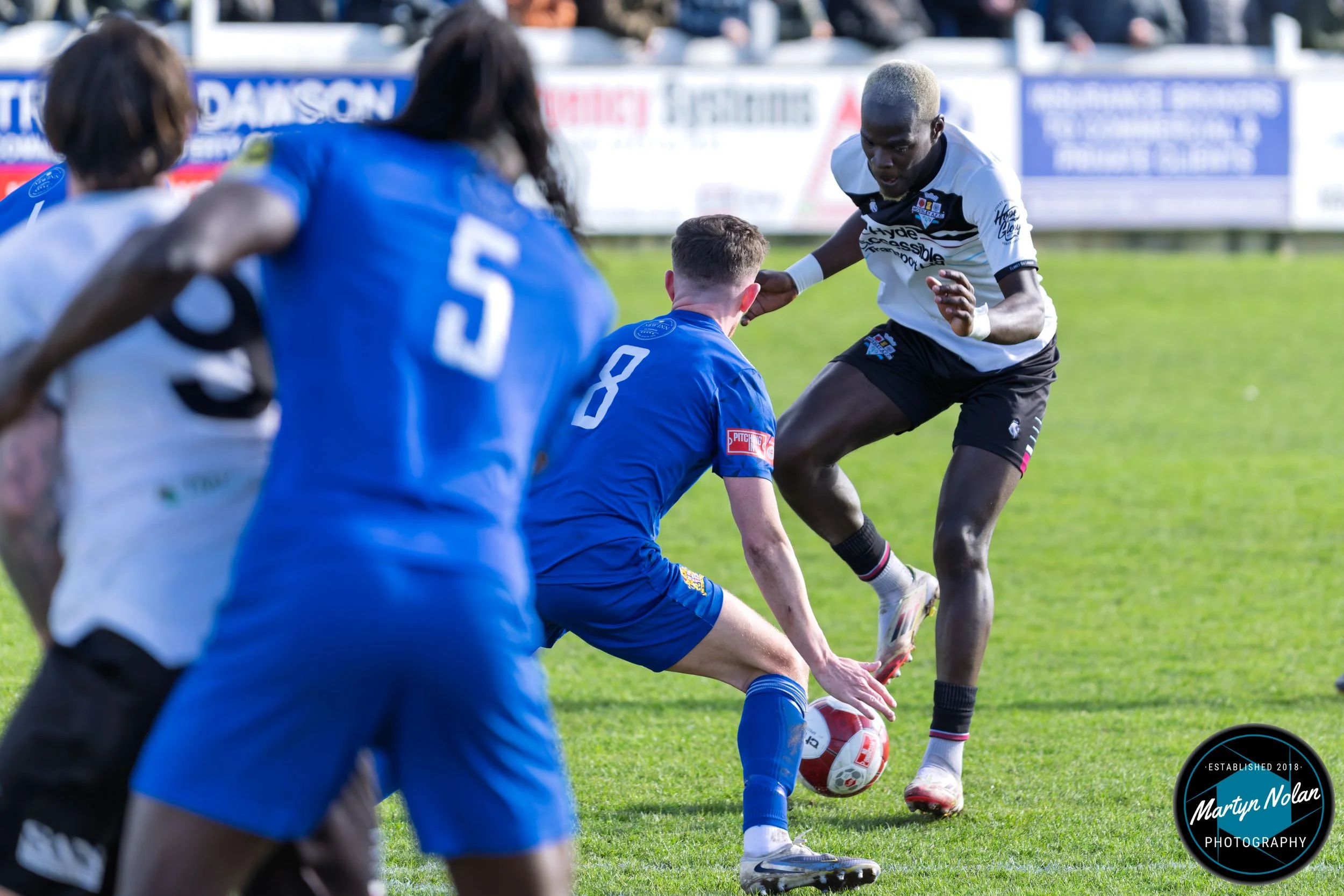 DSC_0377-DxO_DeepPRIME 3.jpg