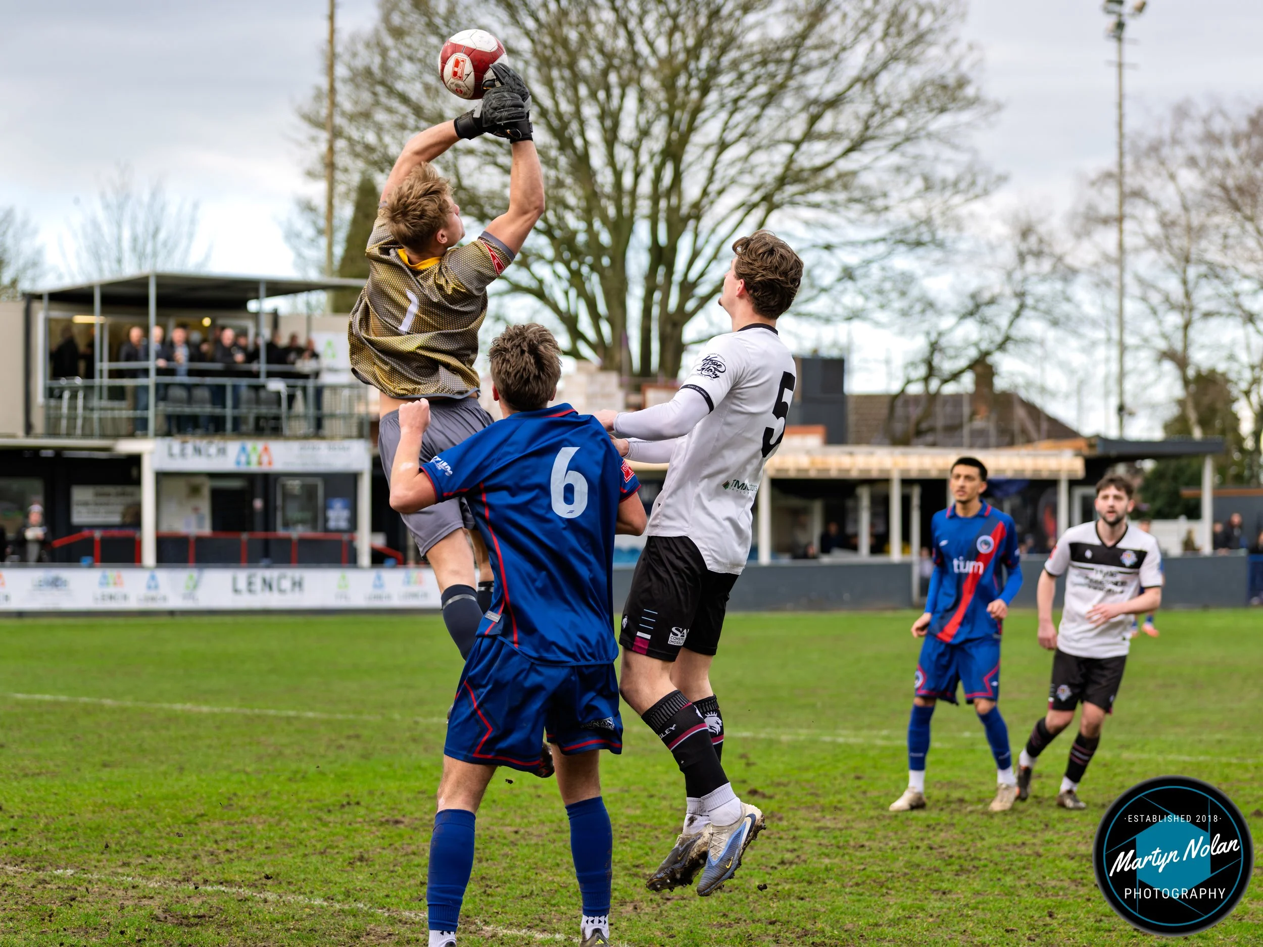 DSC_0222-DxO_DeepPRIME 3.jpg