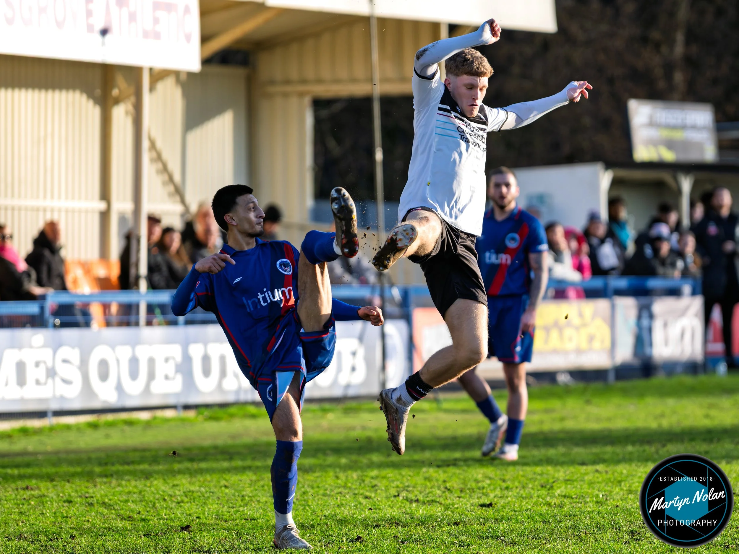 DSC_2293-DxO_DeepPRIME 3.jpg