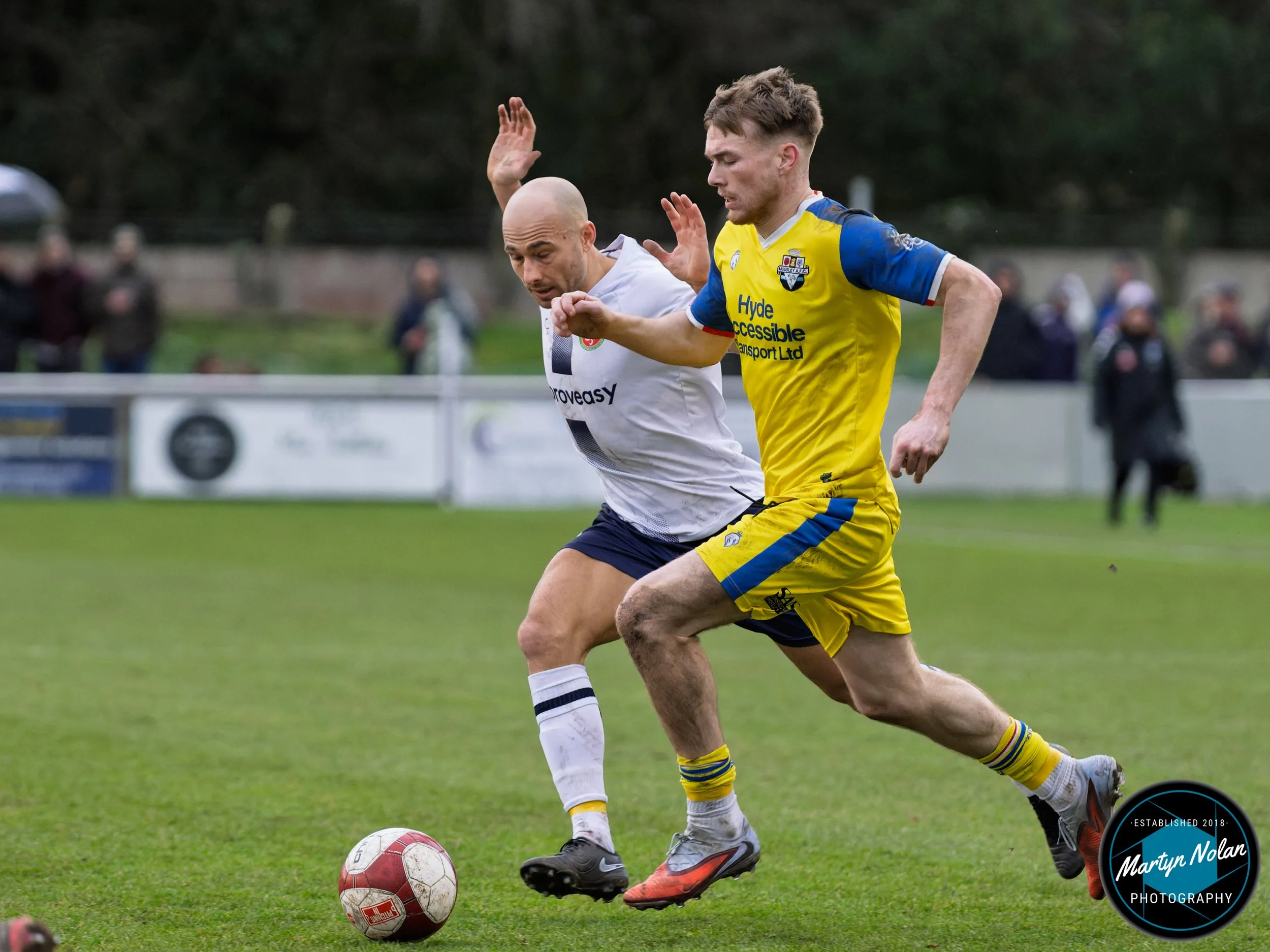 DSC_1038-DxO_DeepPRIME 3.jpg