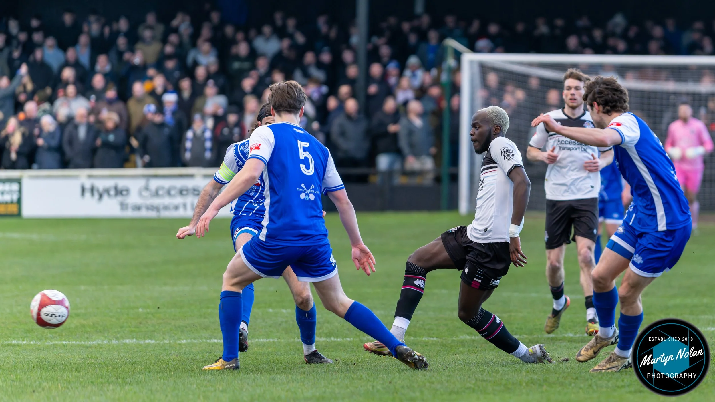 DSC_0592-DxO_DeepPRIME 3.jpg