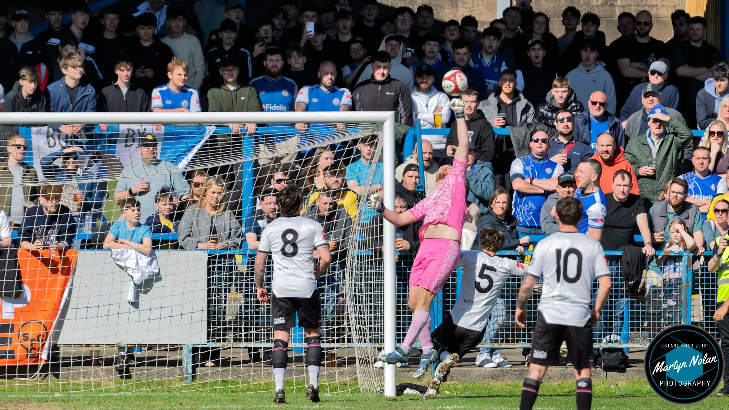 DSC_0252-DxO_DeepPRIME 3.jpg