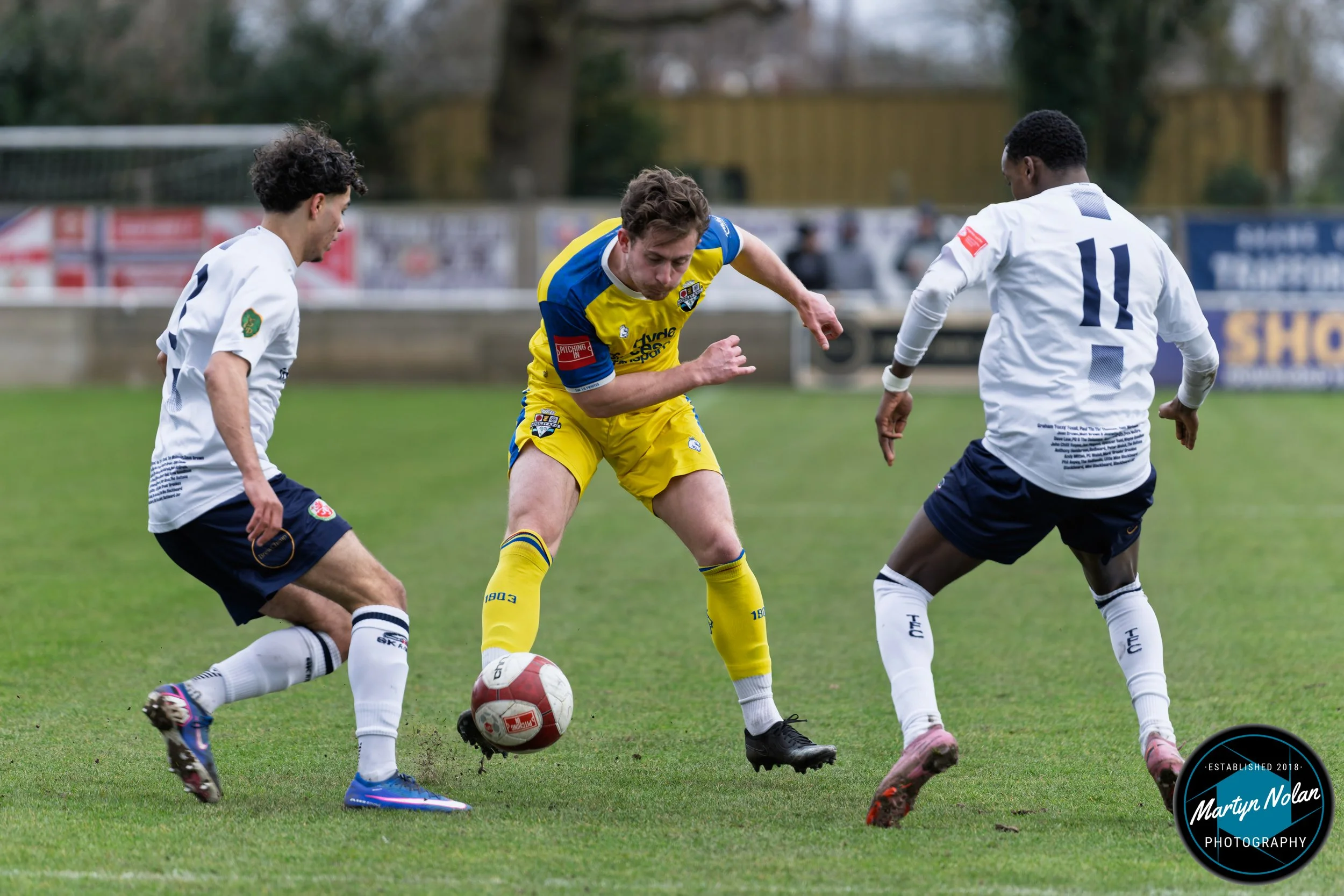 DSC_0136-DxO_DeepPRIME 3.jpg