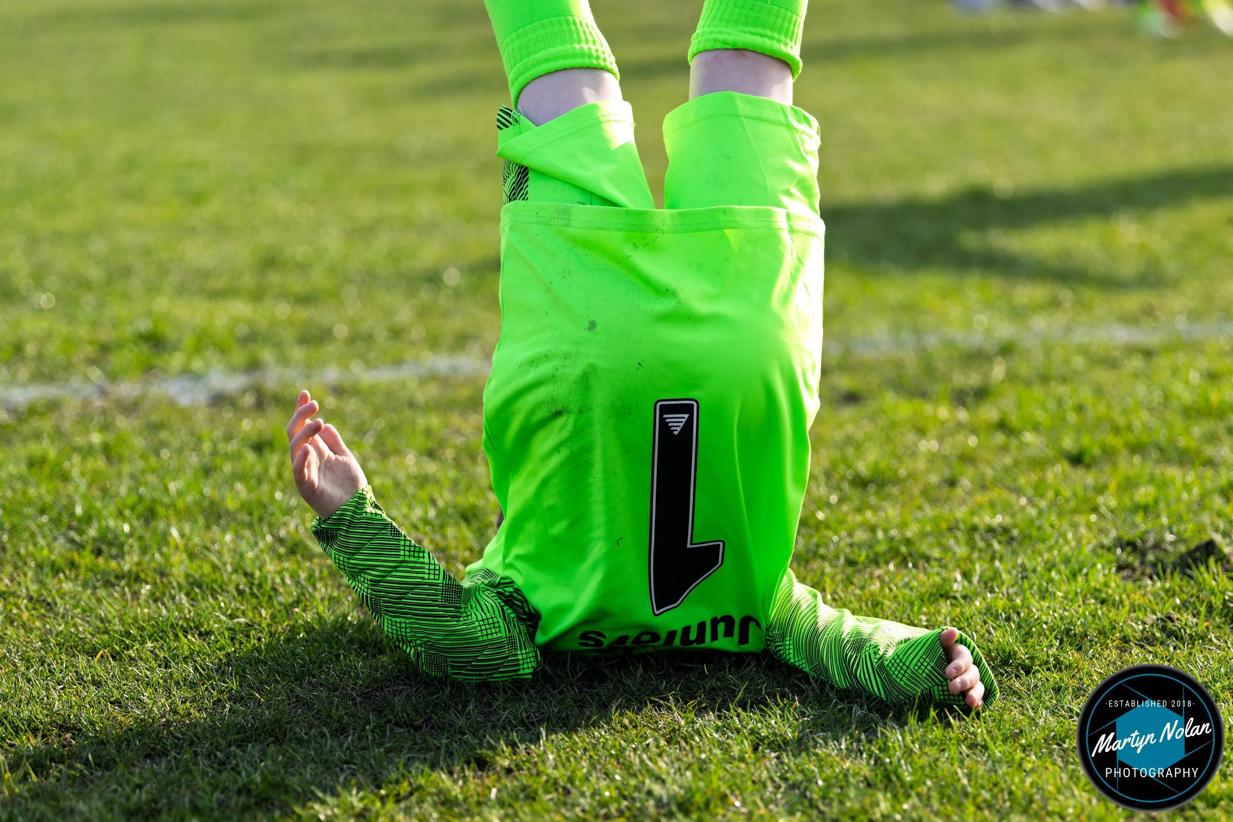 DSC_1935-DxO_DeepPRIME 3.jpg