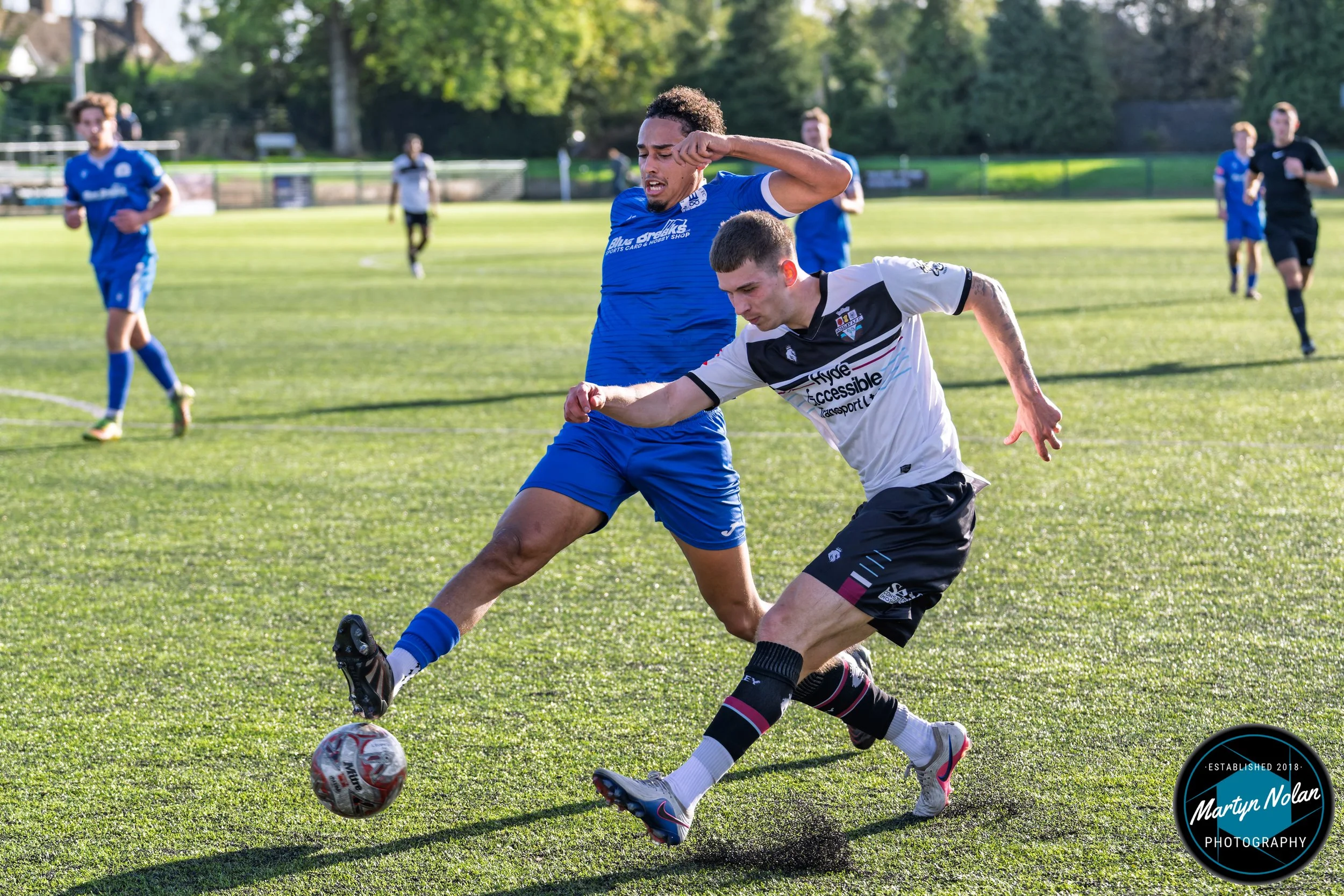 DSC_8310-DxO_DeepPRIME 3.jpg