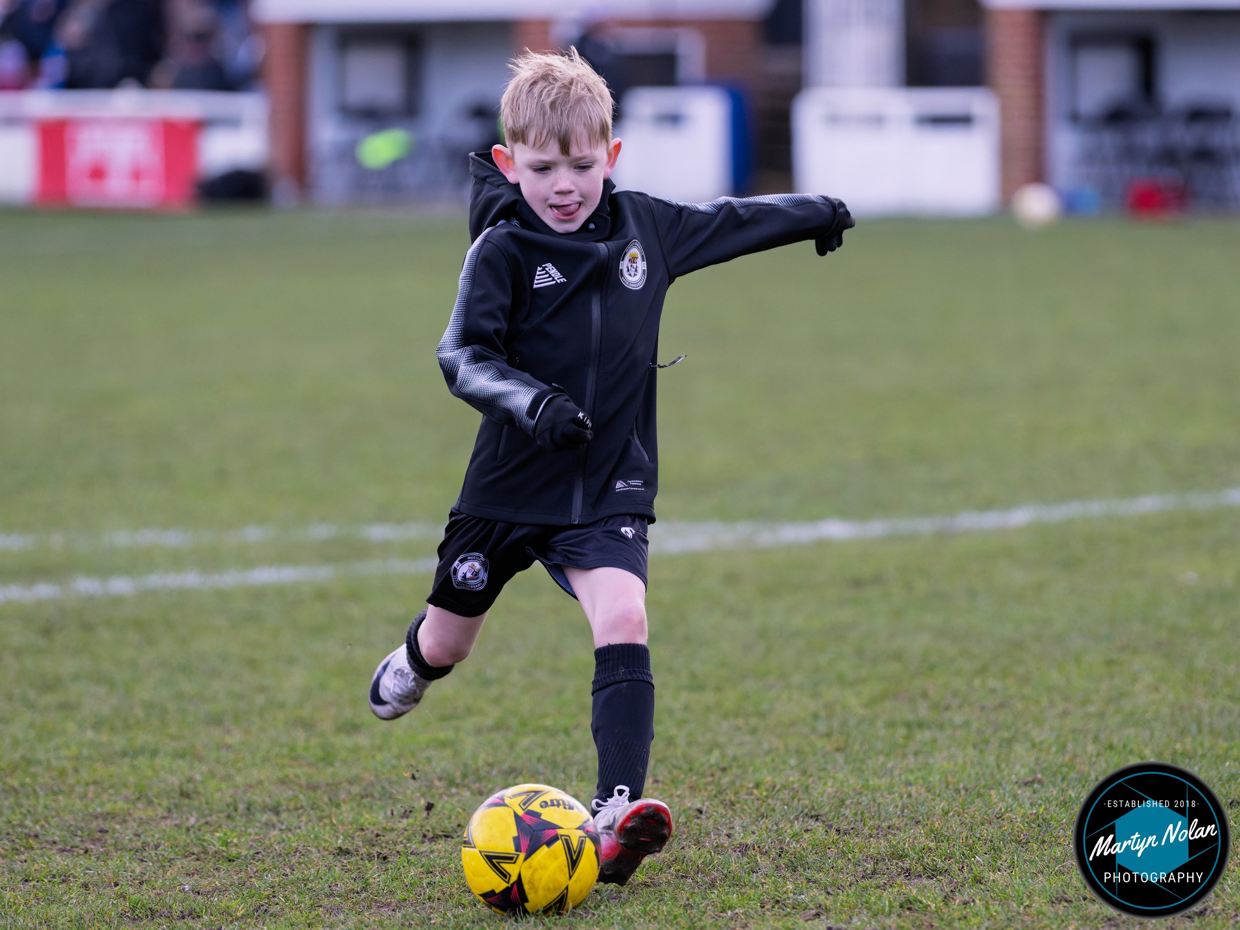 DSC_0876-DxO_DeepPRIME 3.jpg