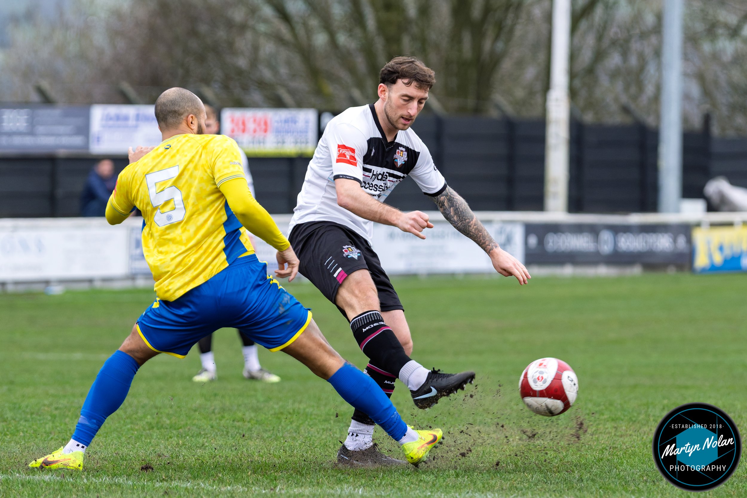 DSC_0944-DxO_DeepPRIME 3.jpg