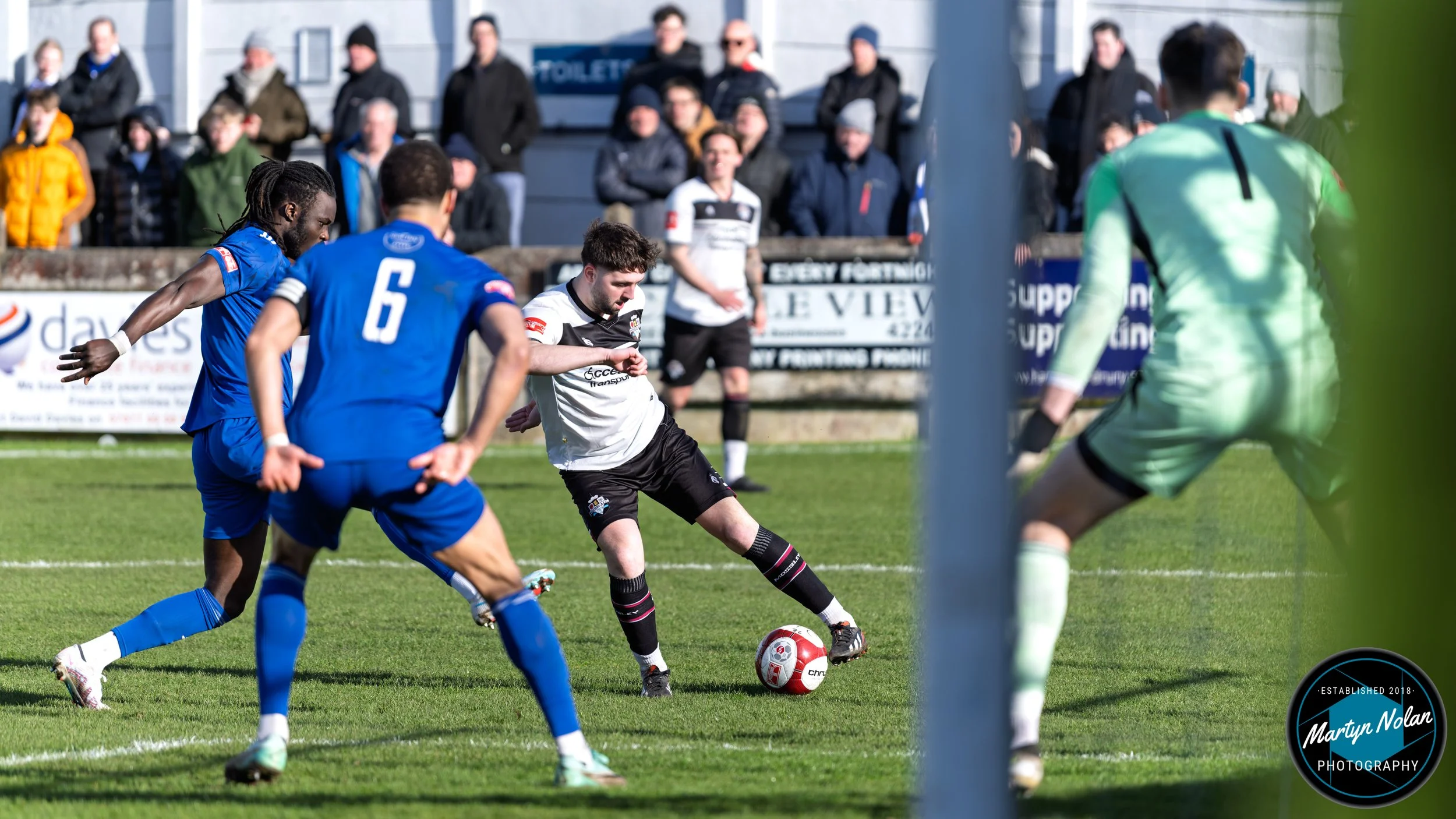 DSC_0501-DxO_DeepPRIME 3.jpg