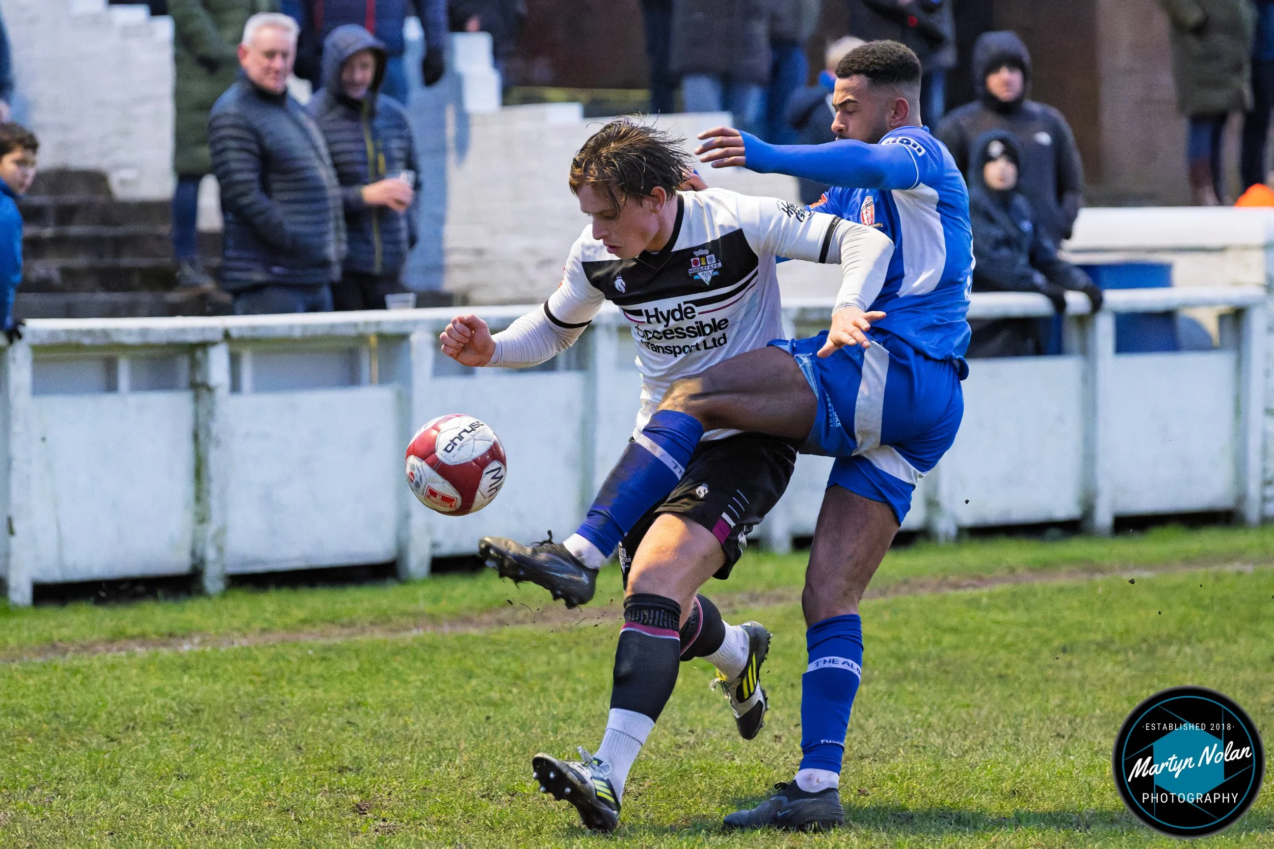 DSC_3307-DxO_DeepPRIME 3.jpg