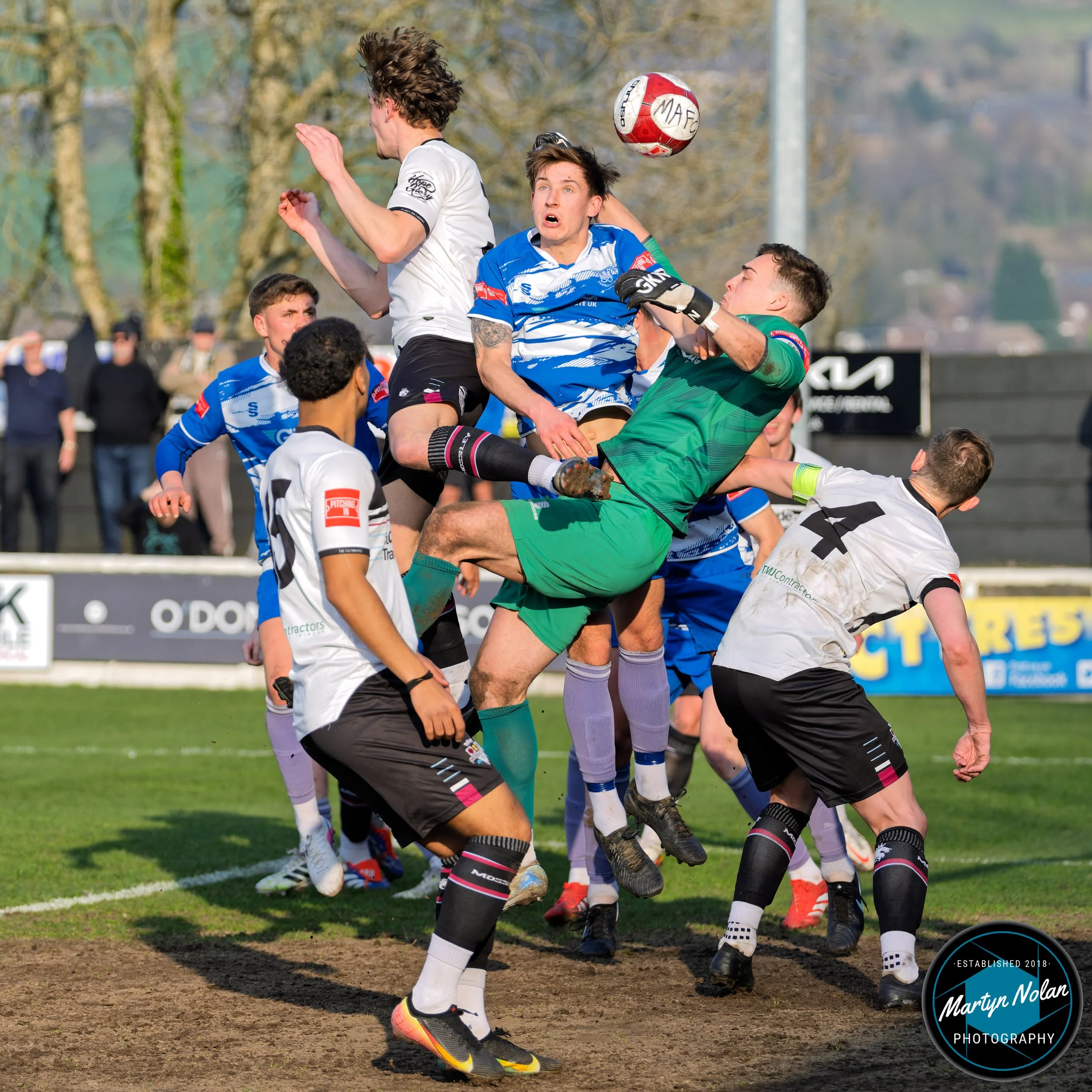 DSC_3600-DxO_DeepPRIME 3.jpg