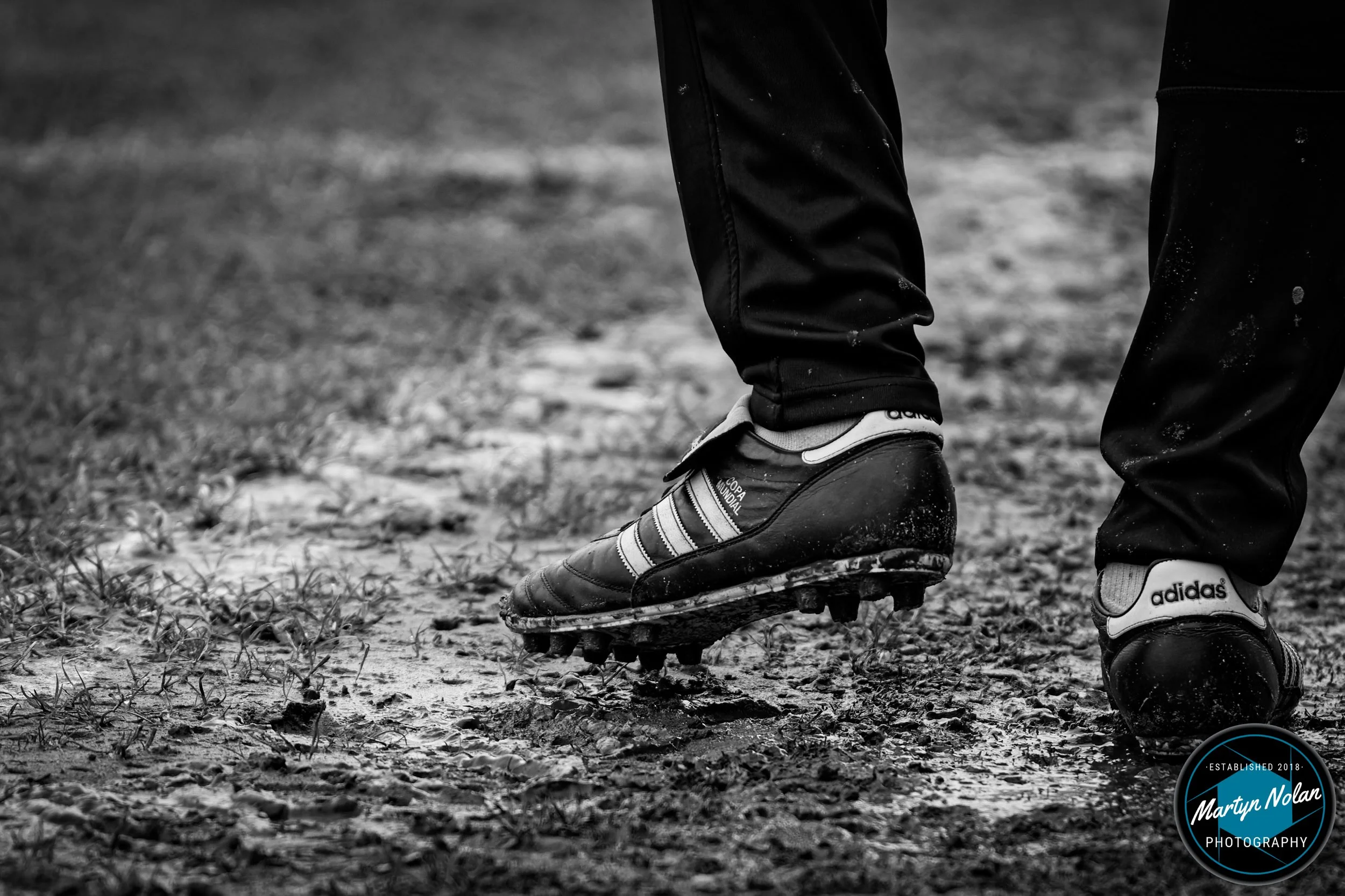 DSC_0574-DxO_DeepPRIME 3.jpg