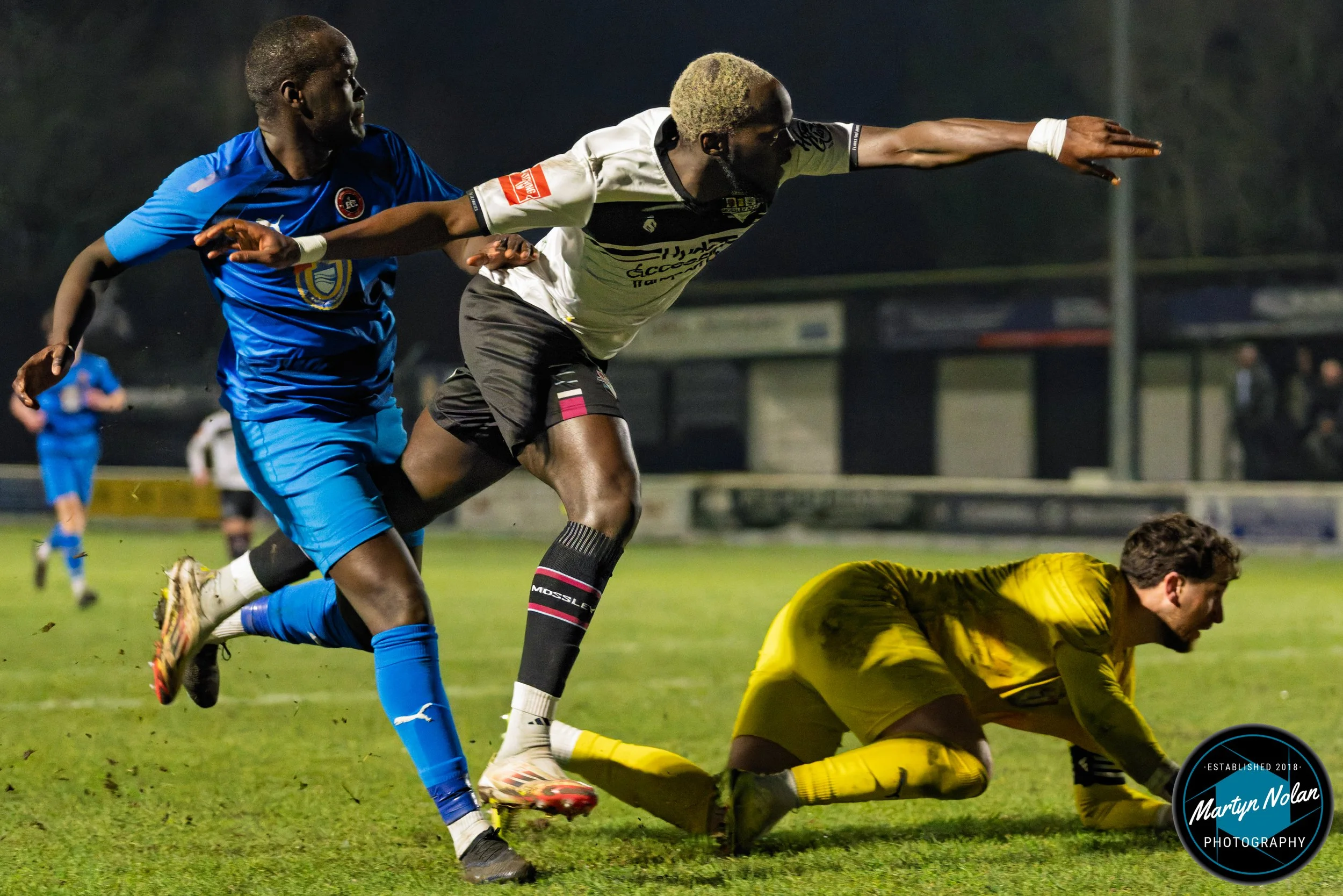 DSC_3082-DxO_DeepPRIME 3.jpg