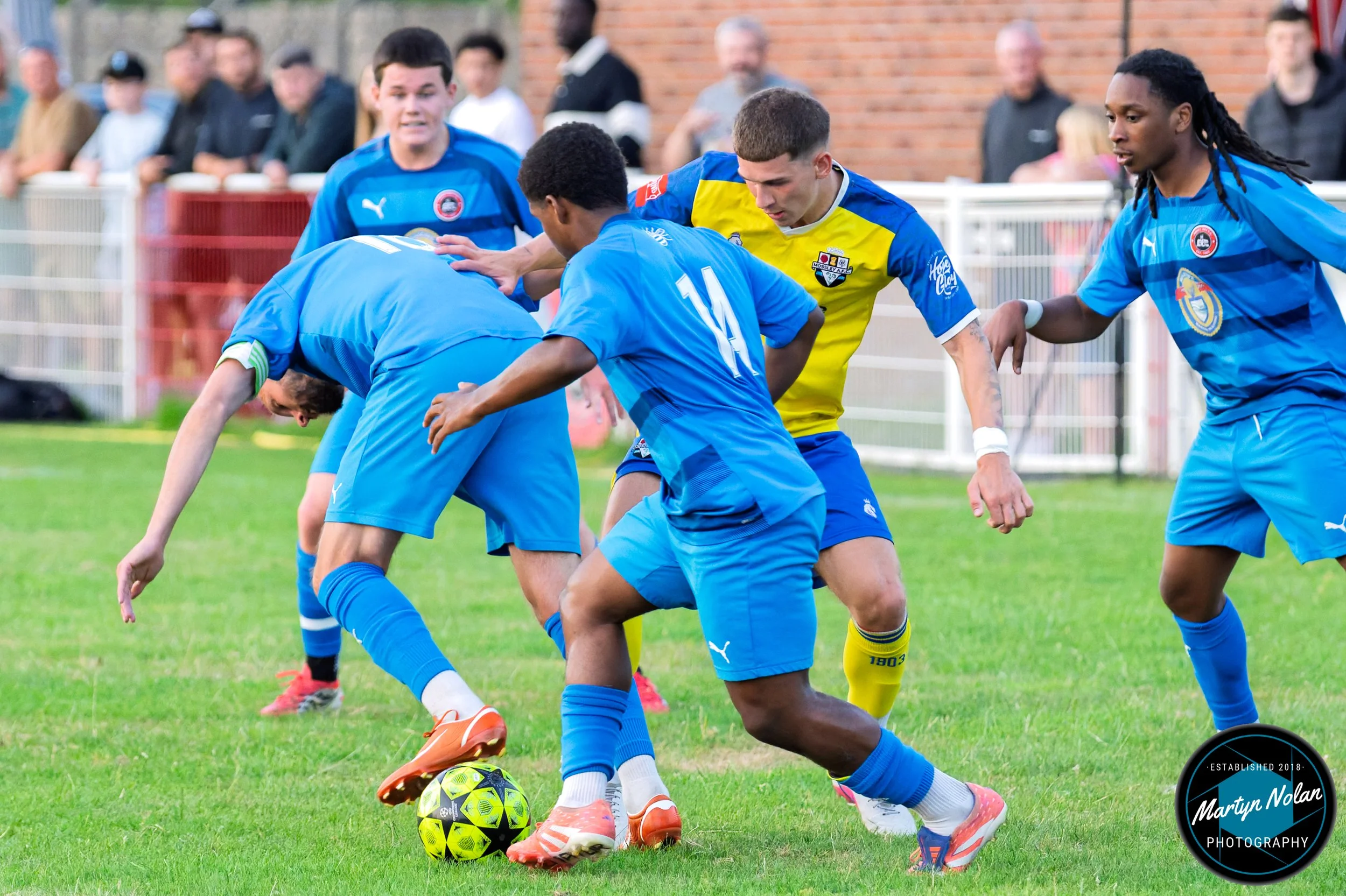DSC_1248-DxO_DeepPRIME 3.jpg