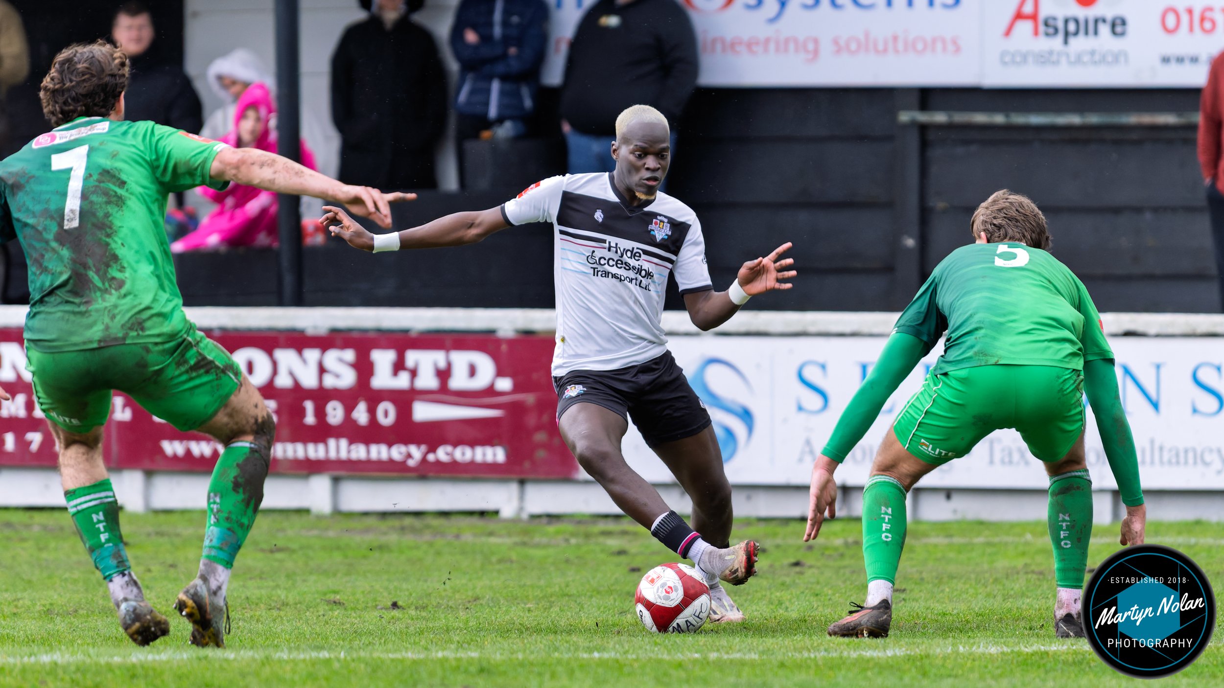 DSC_3175-DxO_DeepPRIME 3.jpg